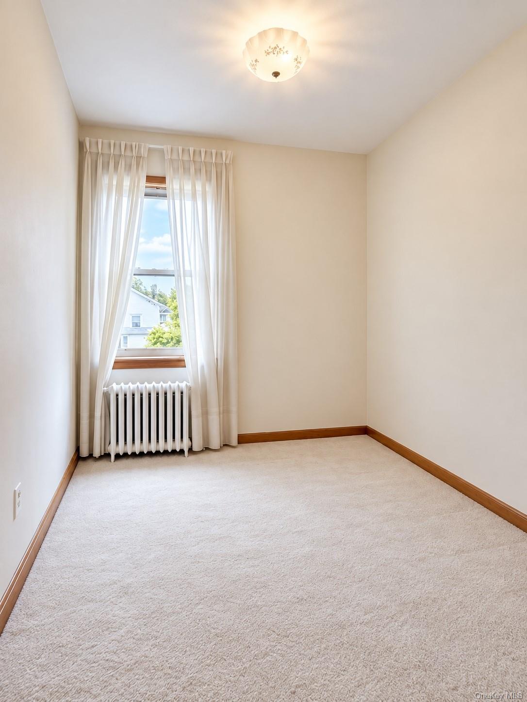 12 Balfour Street, Unit 2 photo 5