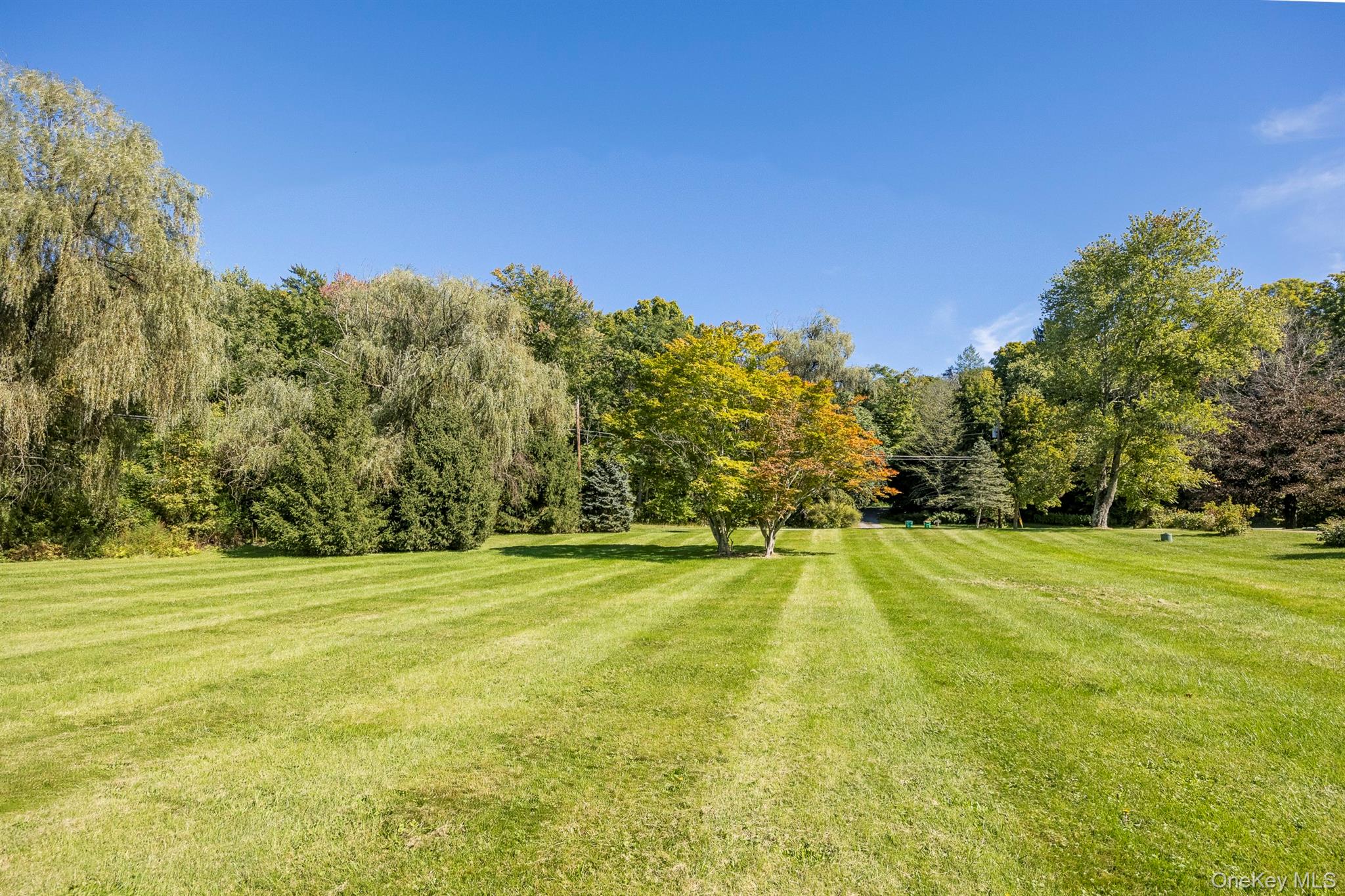 201 Masten Road – For Sale photo 34