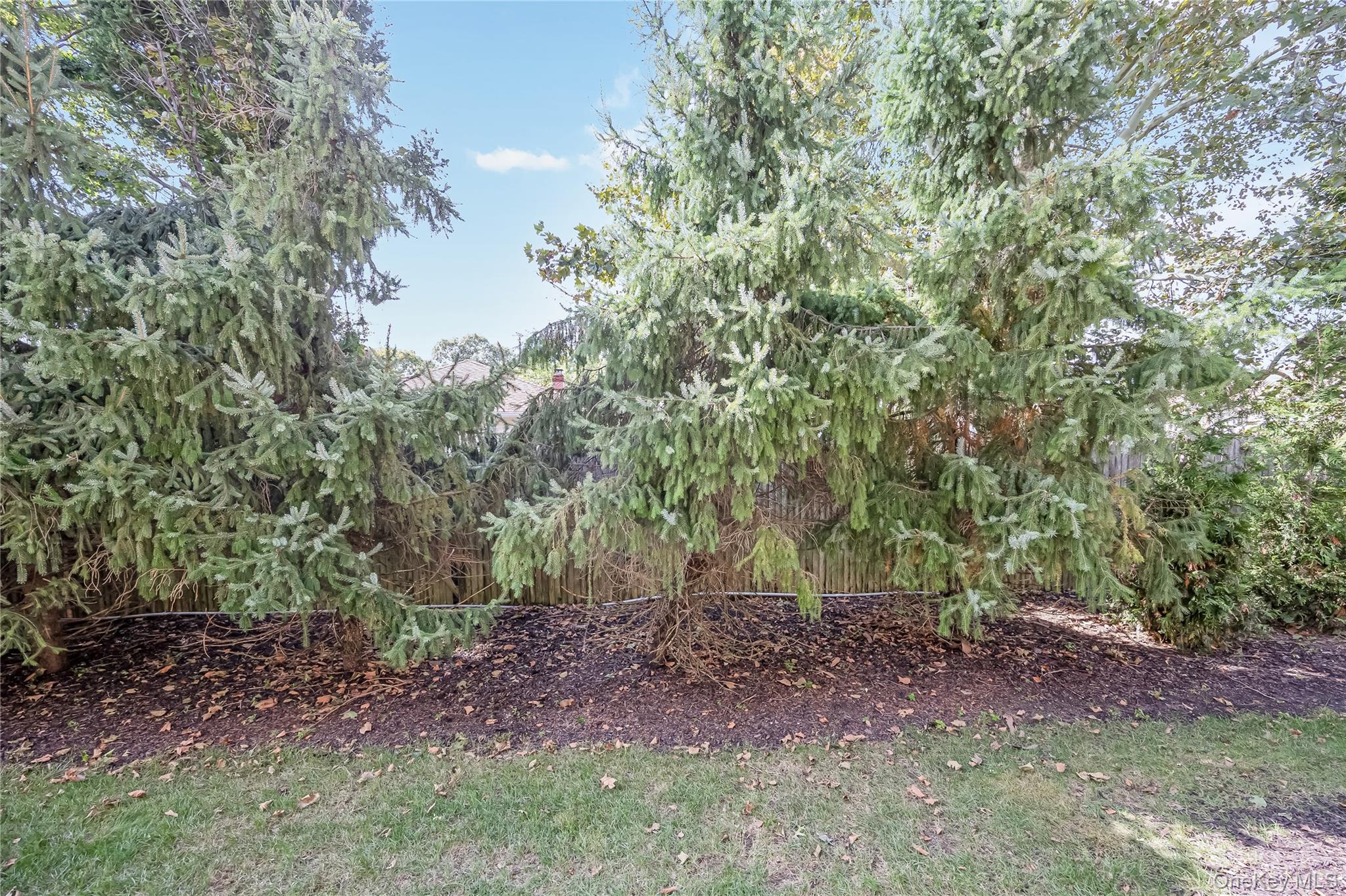 1003 Willow Lane – For Sale photo 21