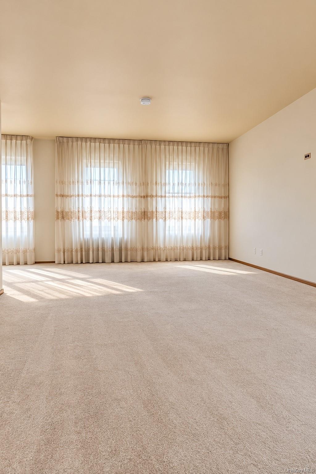 12 Balfour Street, Unit 3 photo 6