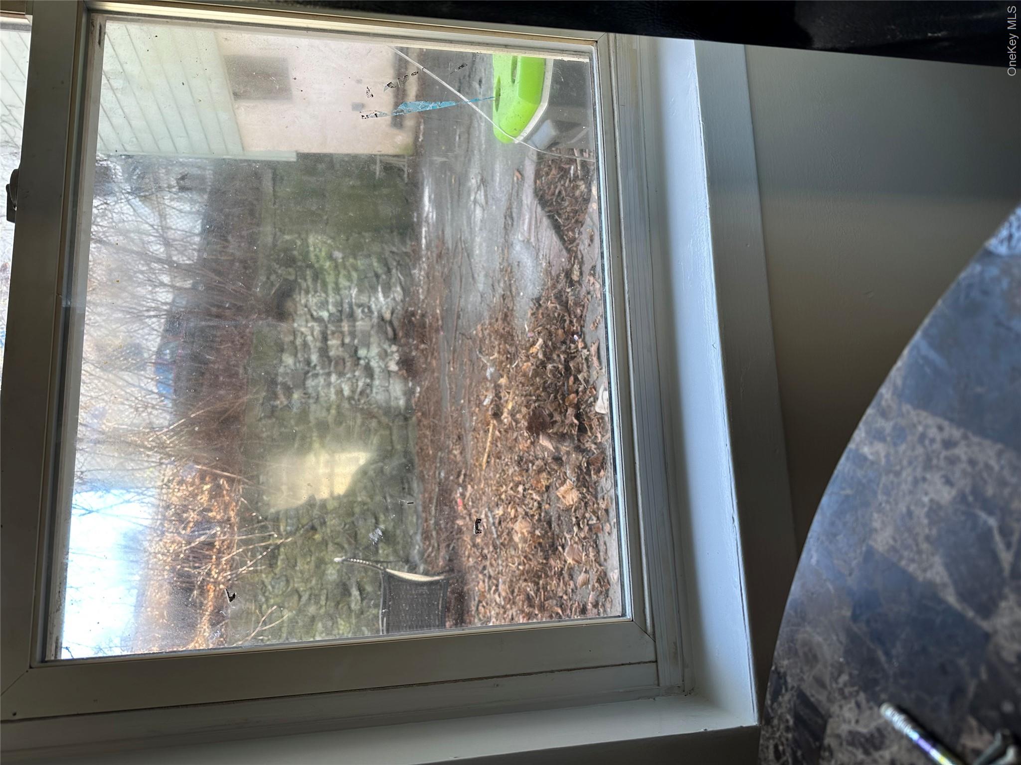 6 Snowden Avenue, Unit 4 photo 23
