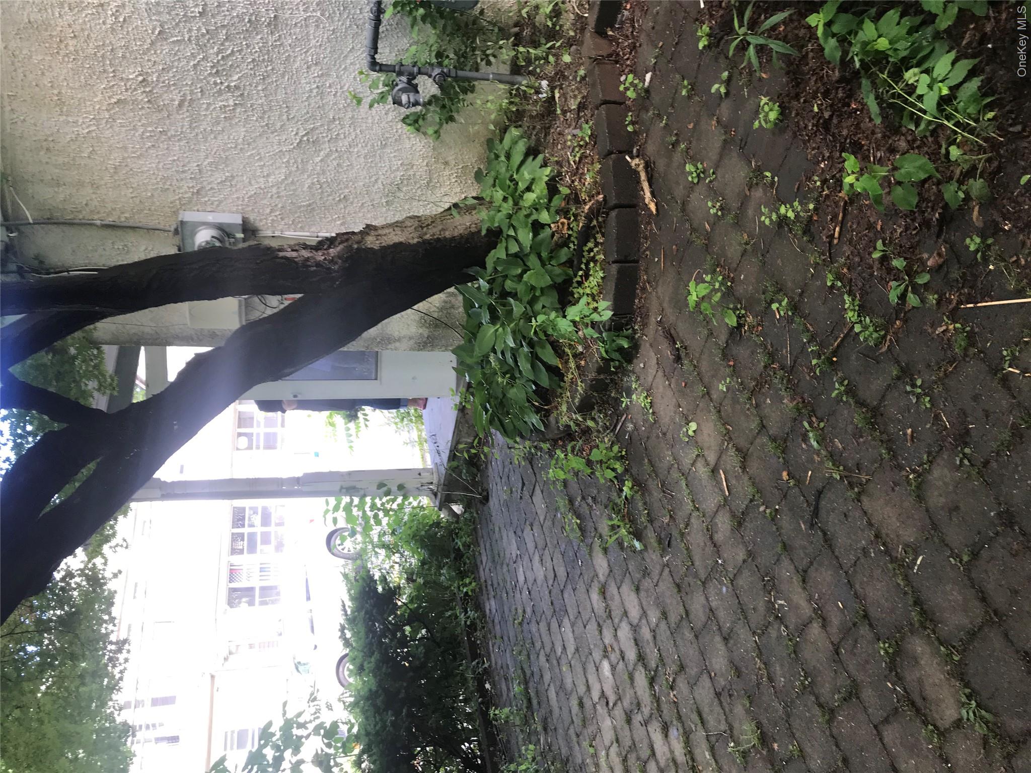 6 Snowden Avenue, Unit 4 photo 4