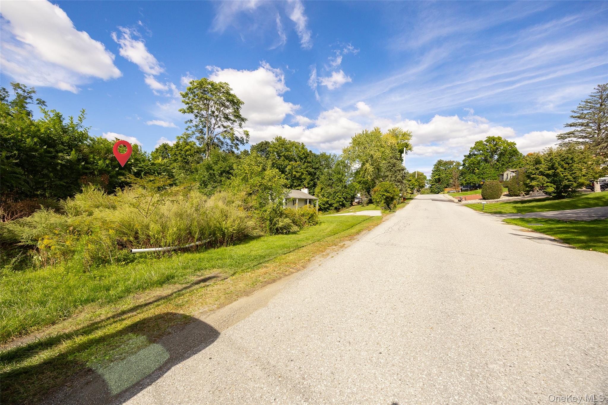 45 Scenic Hills Drive – For Sale photo 14