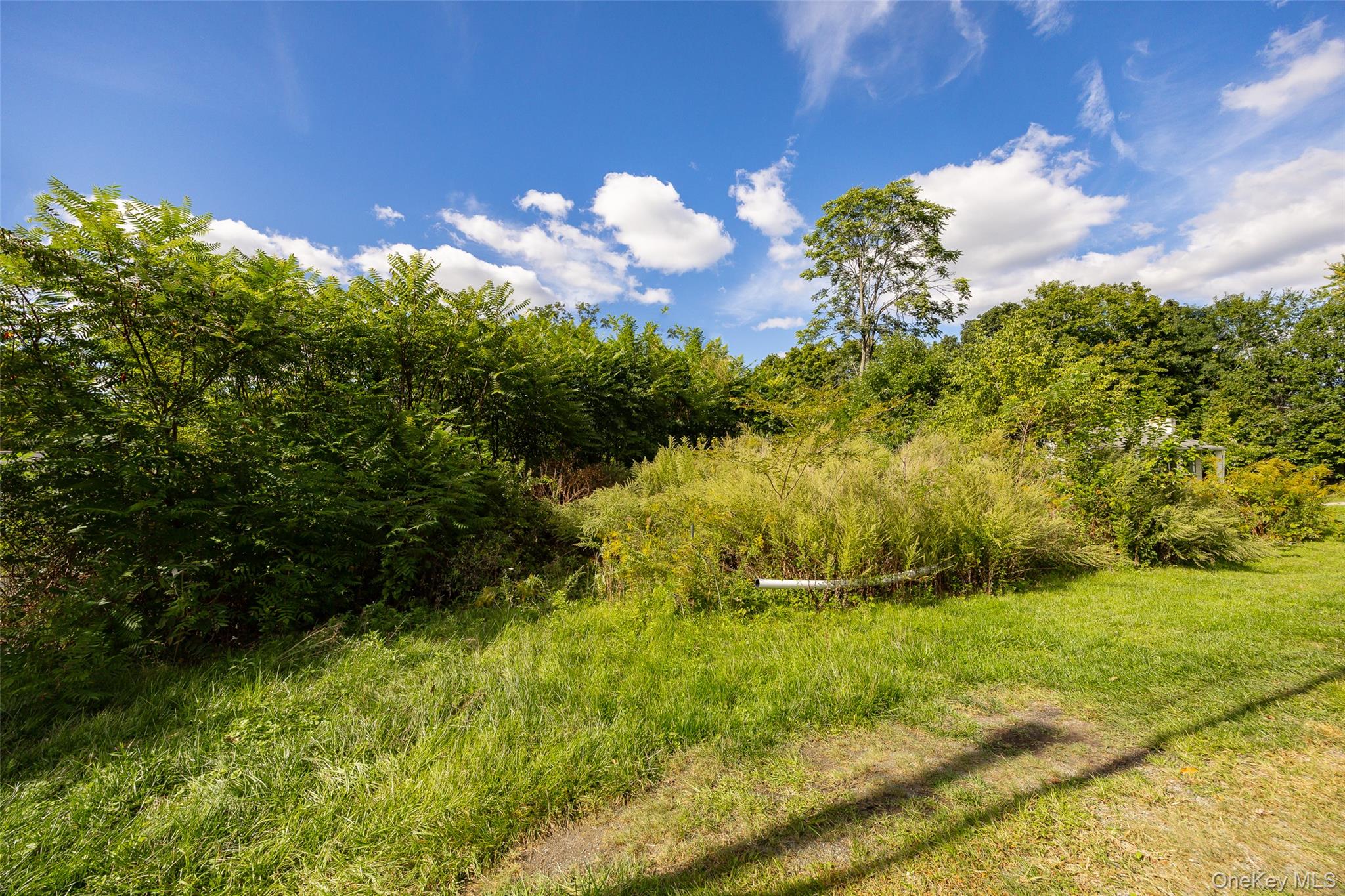 45 Scenic Hills Drive – For Sale photo 10