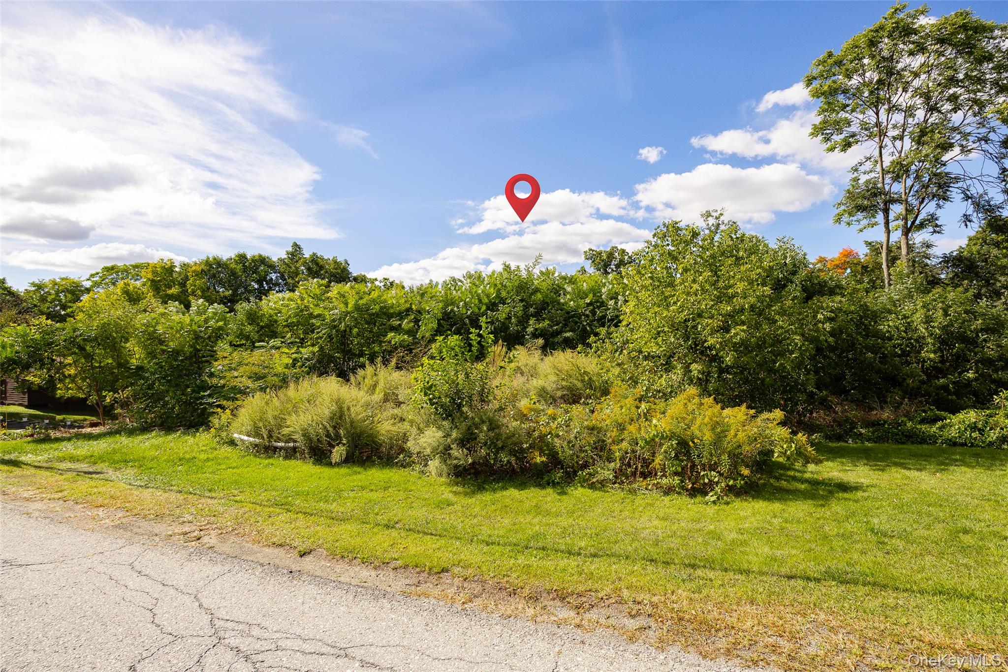 45 Scenic Hills Drive – For Sale photo 13