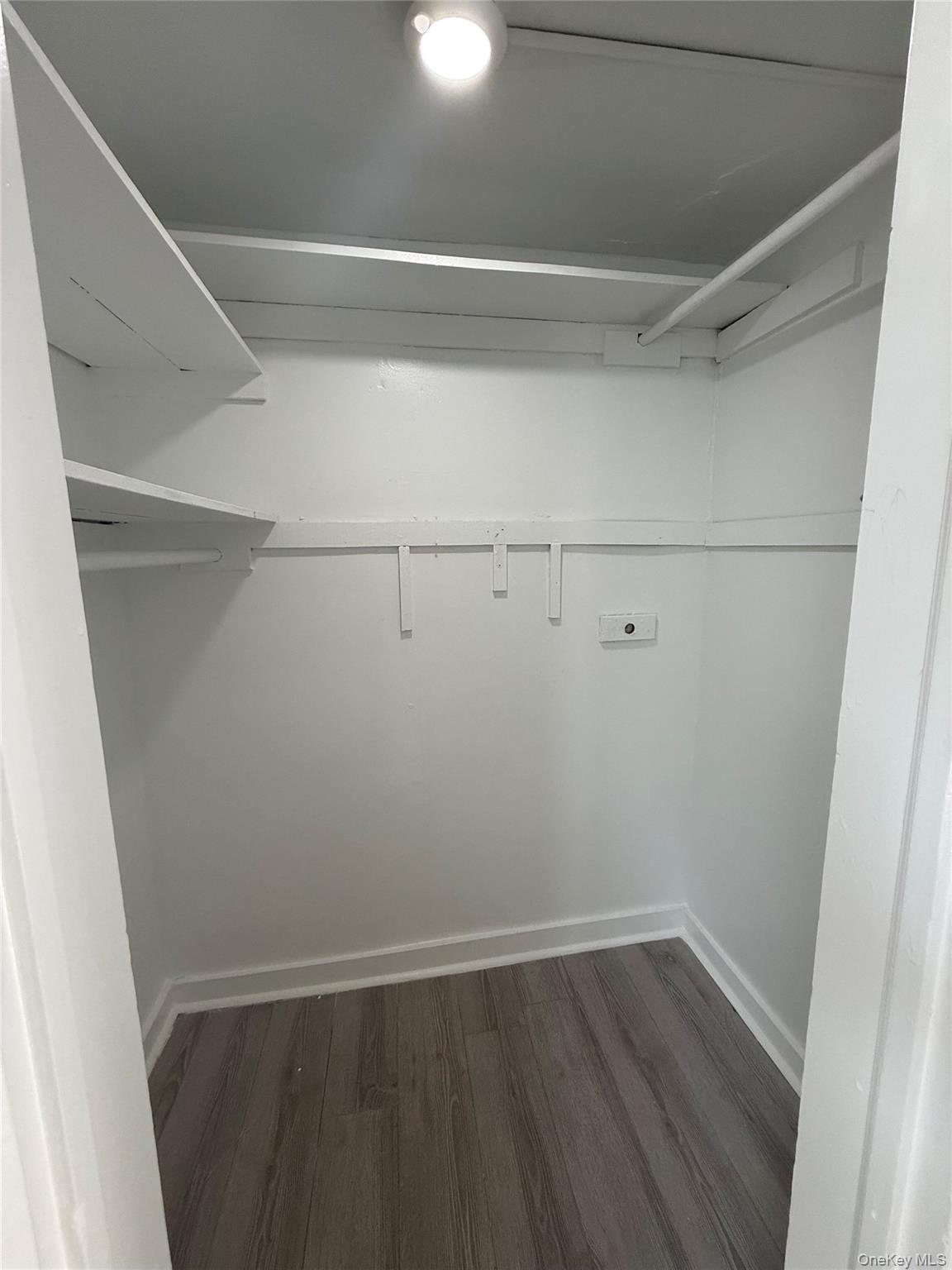 437 3rd Street, Unit 1 photo 5
