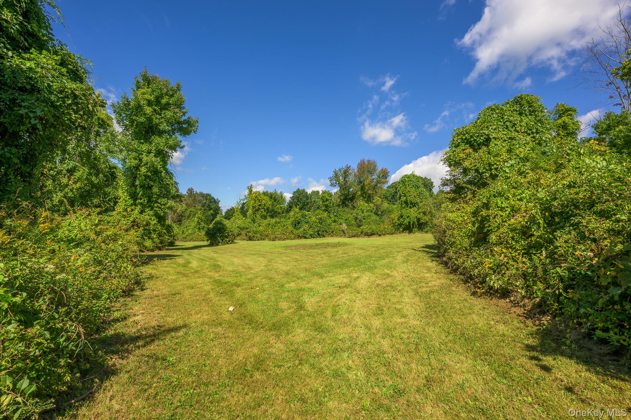 915 Palmer Road Extension – For Sale photo 39