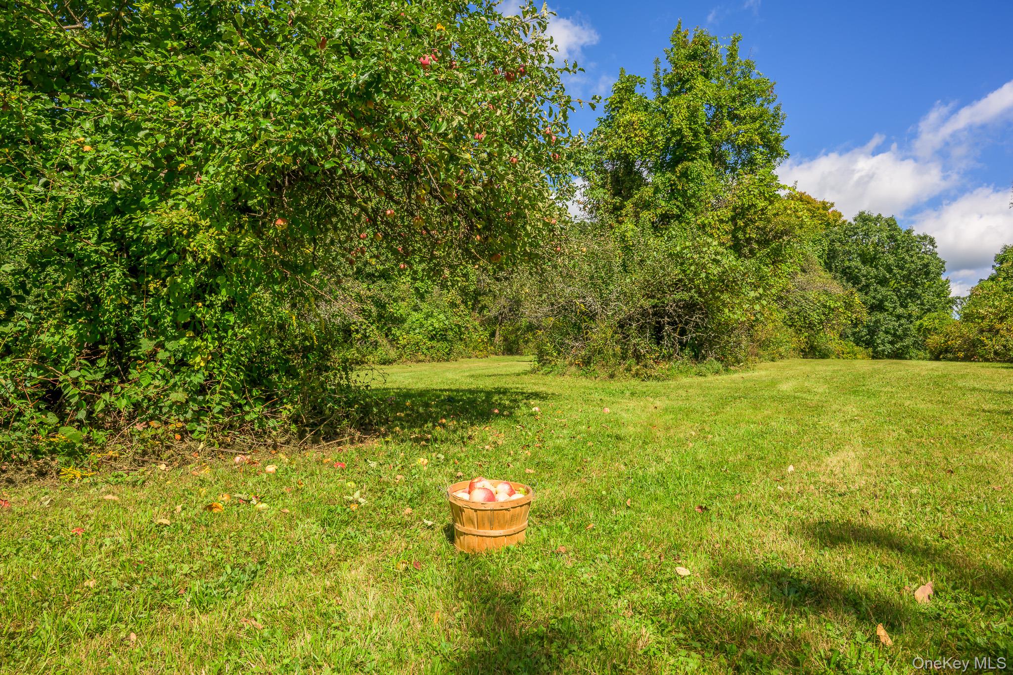 915 Palmer Road Extension – For Sale photo 35