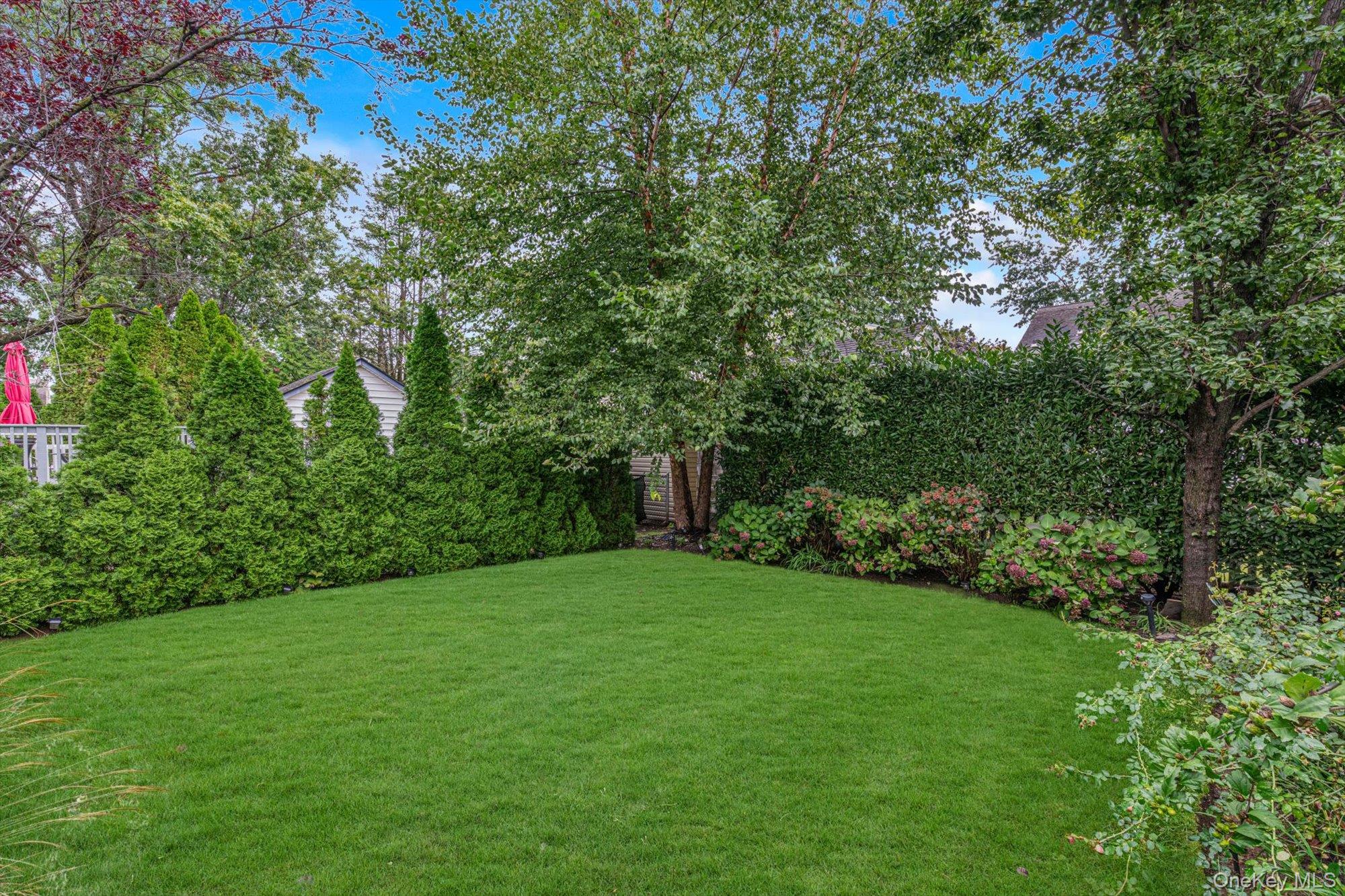 91 Geranium Avenue – For Sale photo 22