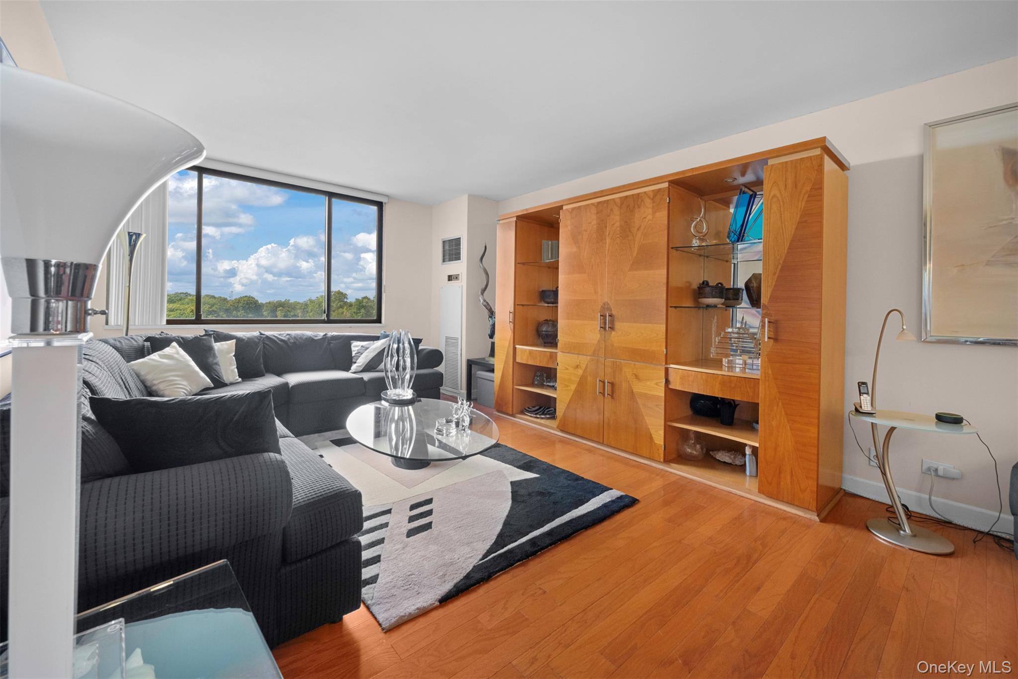 269-10 Grand Central Parkway, Unit 8P photo 9