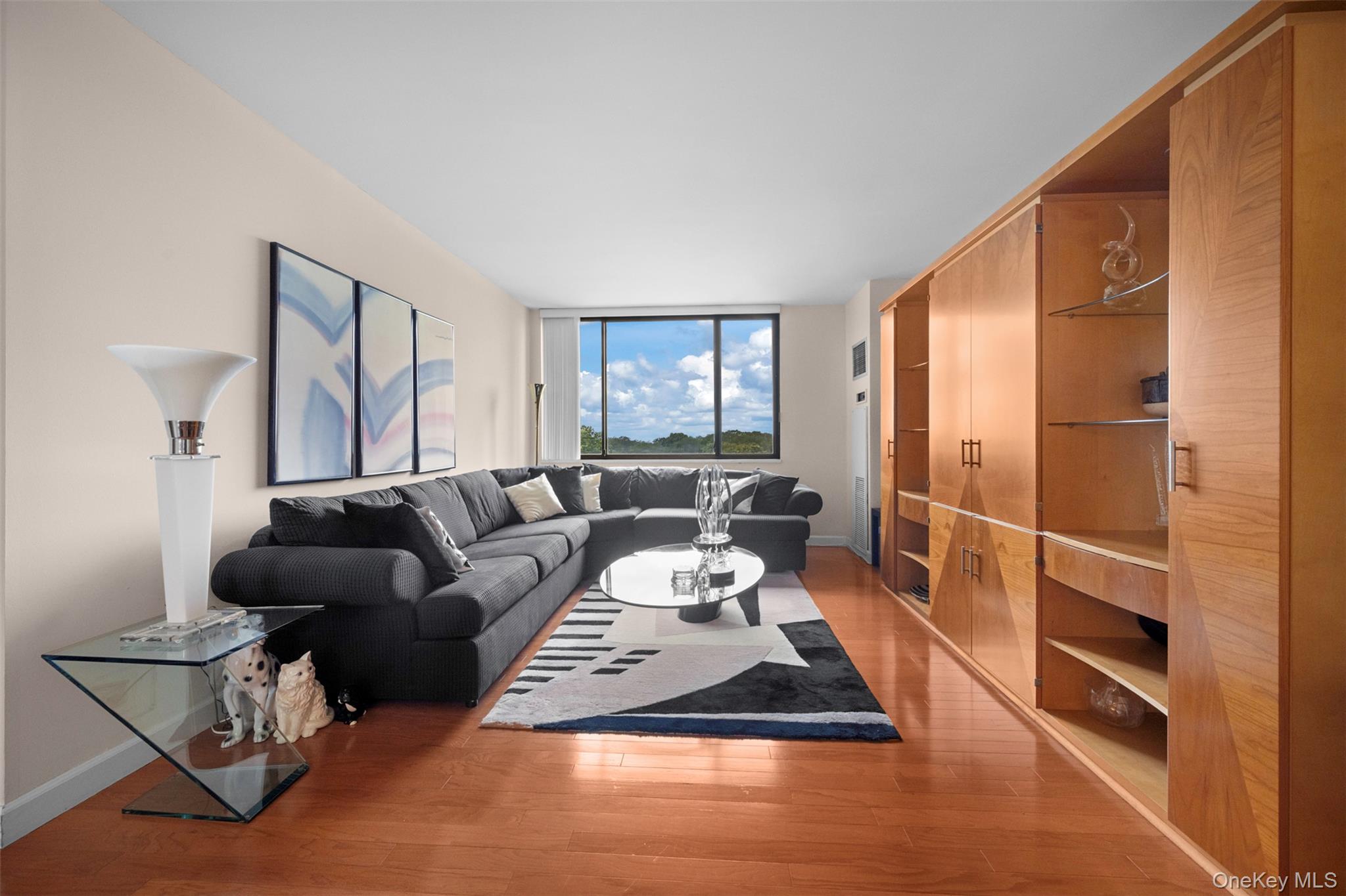 269-10 Grand Central Parkway, Unit 8P photo 8