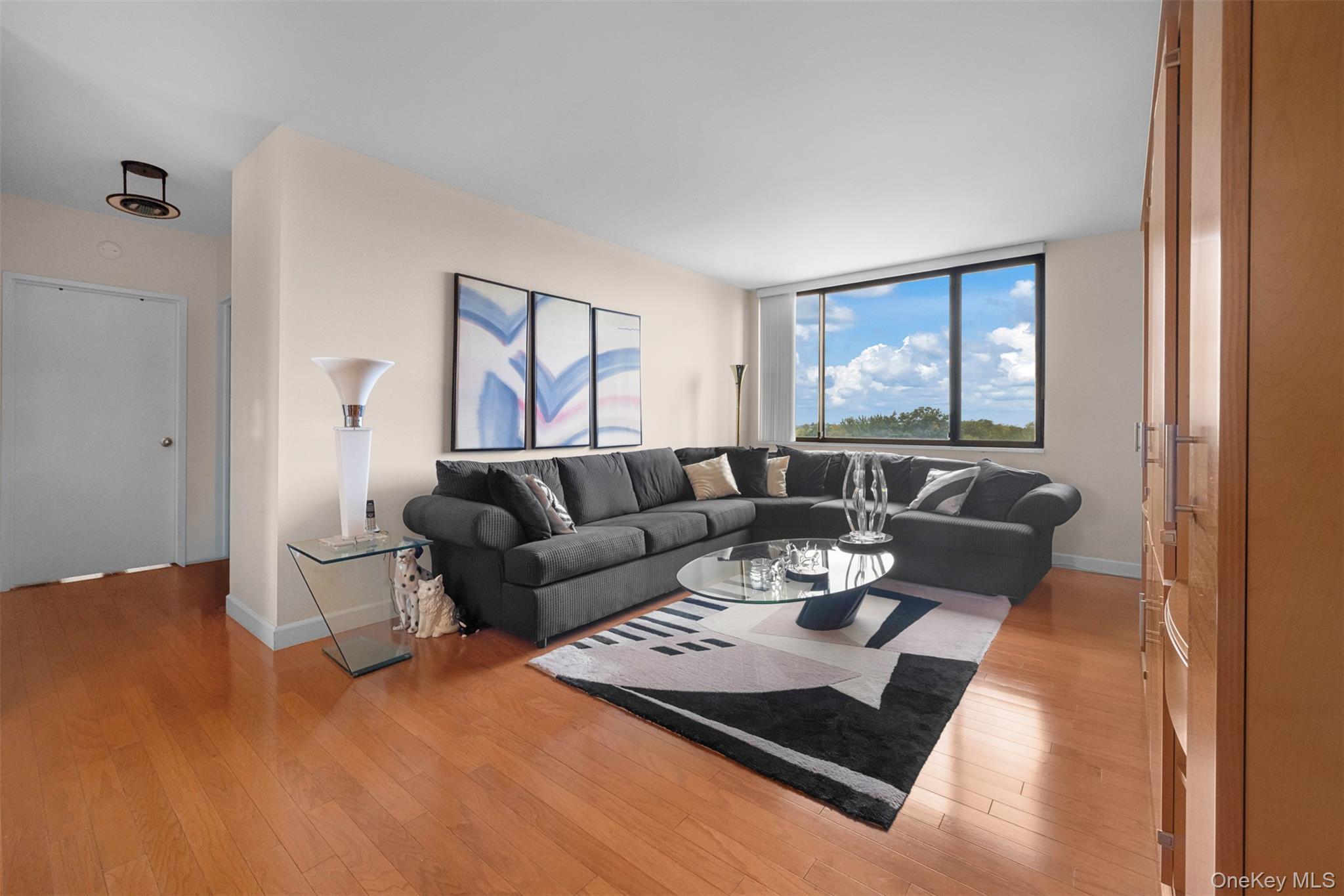 269-10 Grand Central Parkway, Unit 8P photo 10