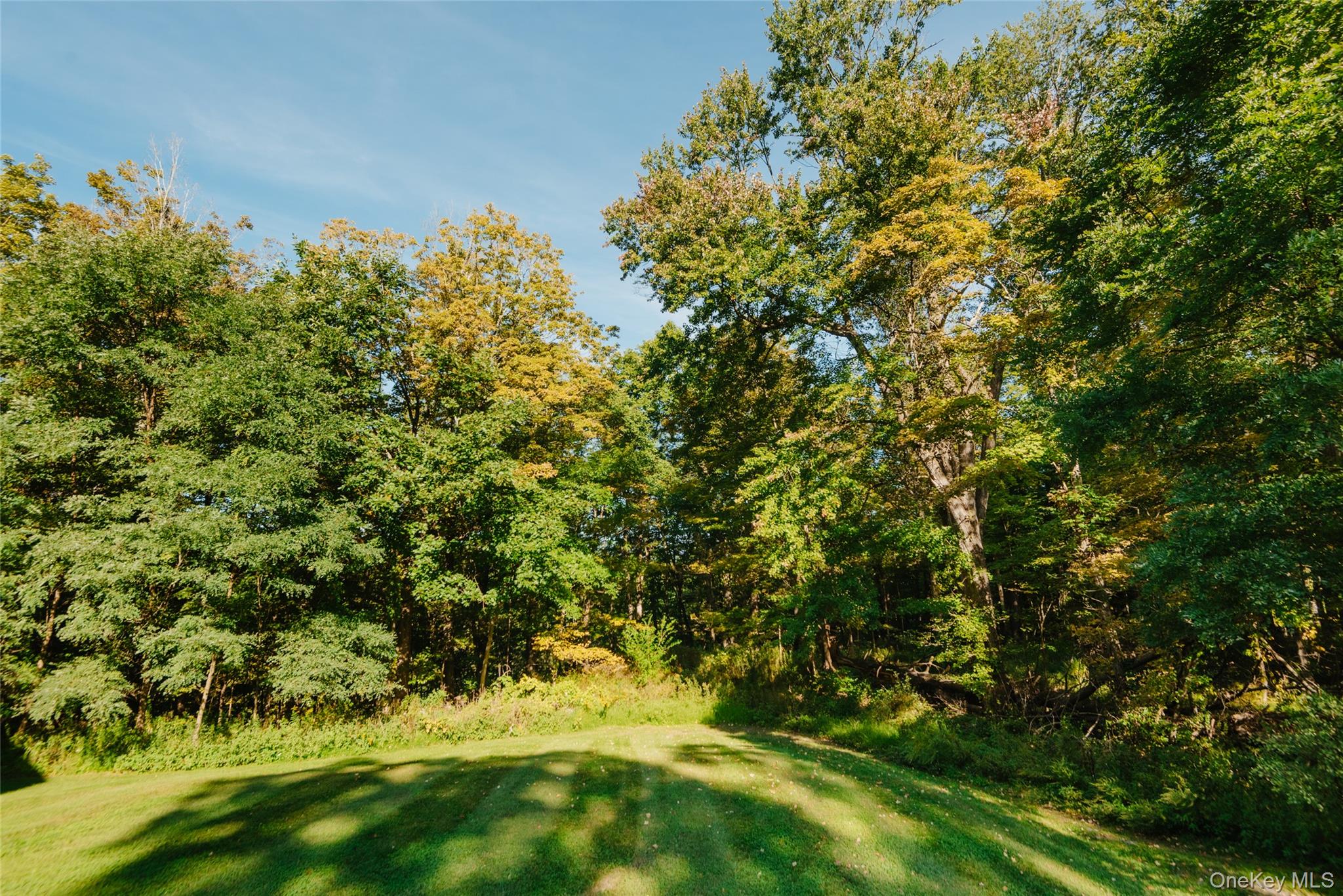303 Old Stage Road – For Sale photo 17