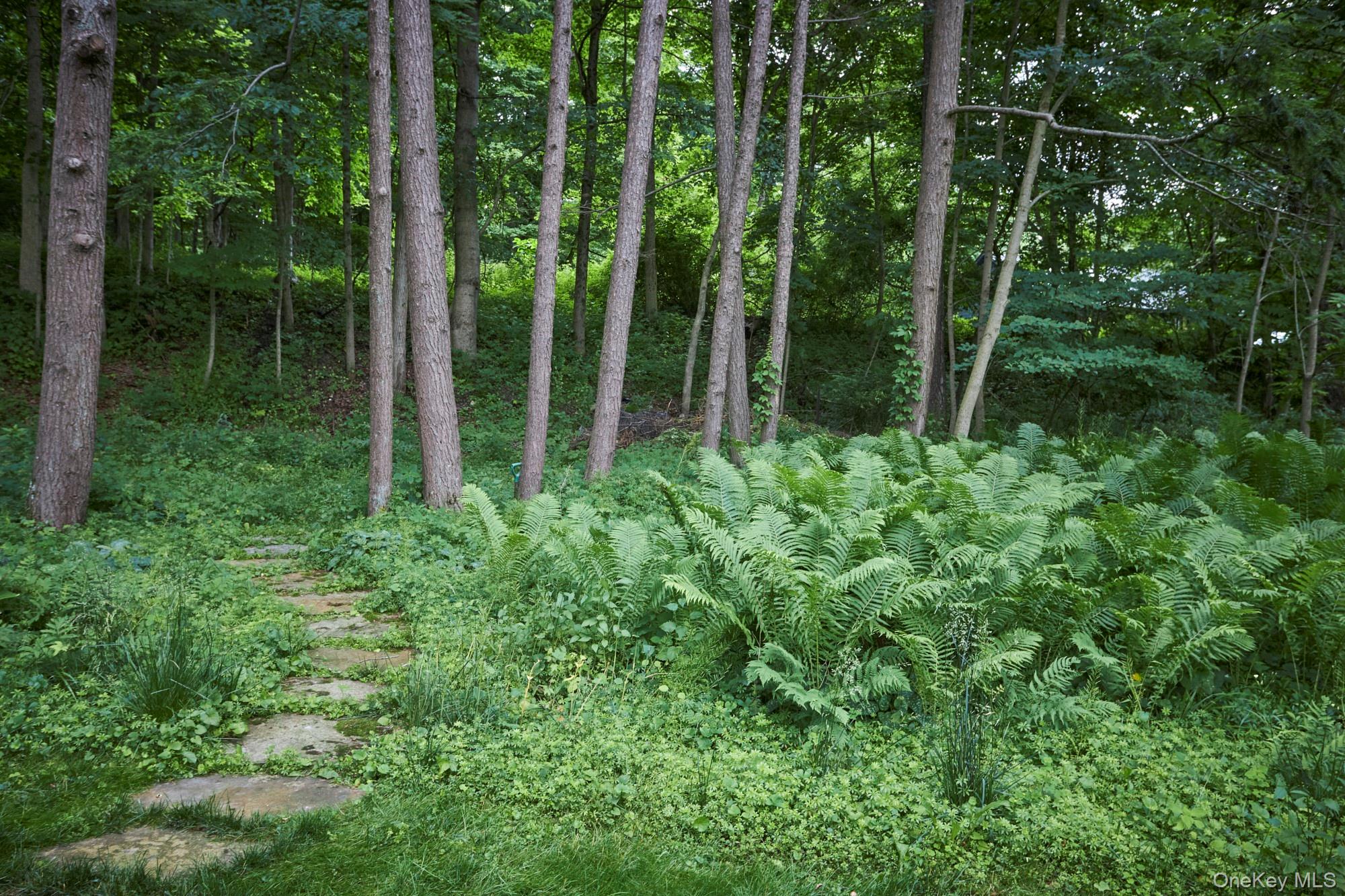 1408 Route 83 – For Sale photo 17