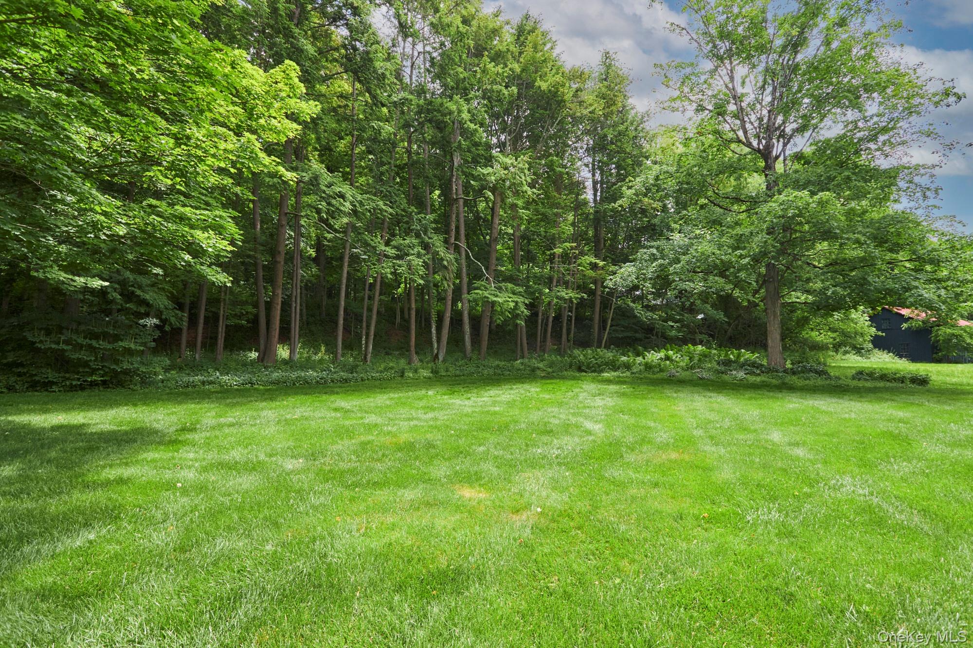 1408 Route 83 – For Sale photo 36