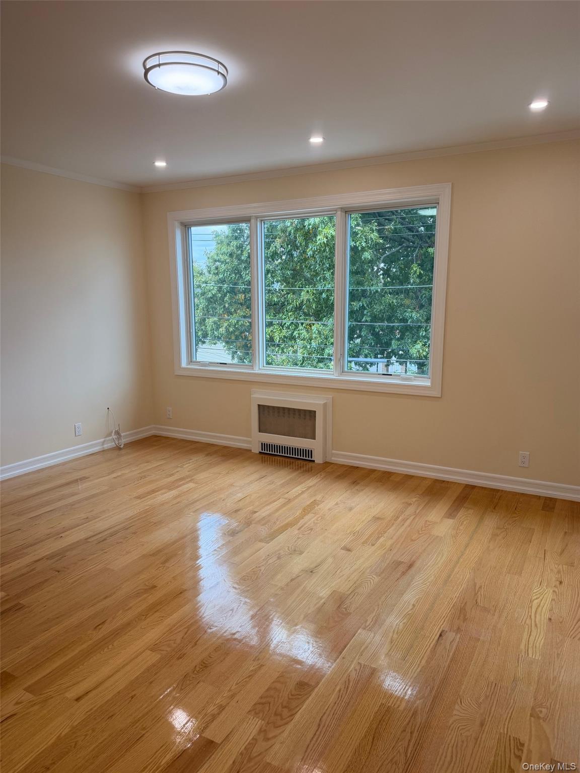 164-16 75th Road, Unit 2nd Floor photo 3