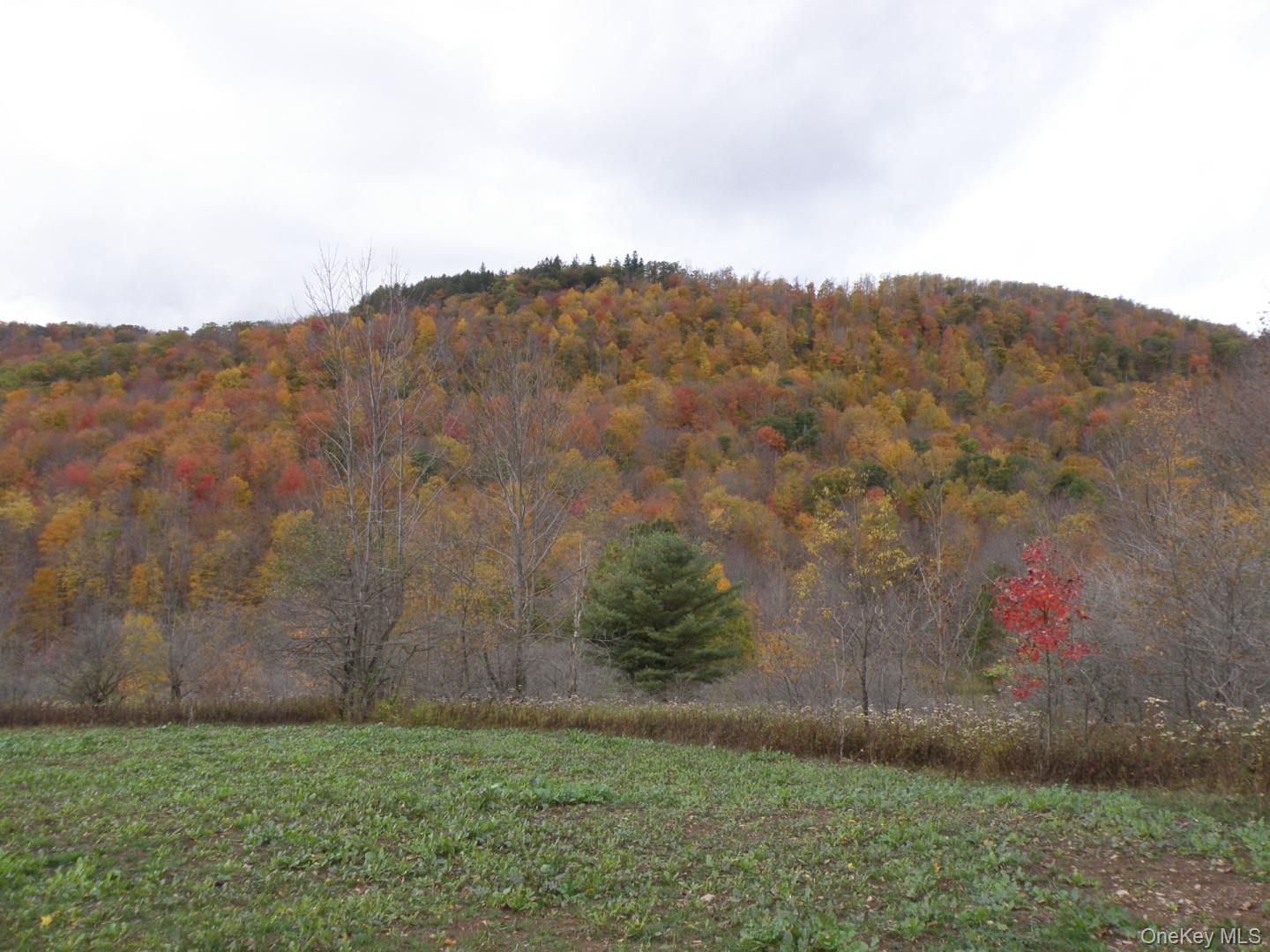 Gregory Hollow Road – For Sale photo 2
