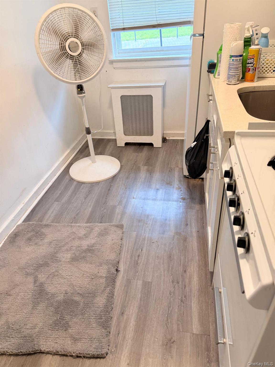 261-09 Langston Ave, Unit 1 photo 11
