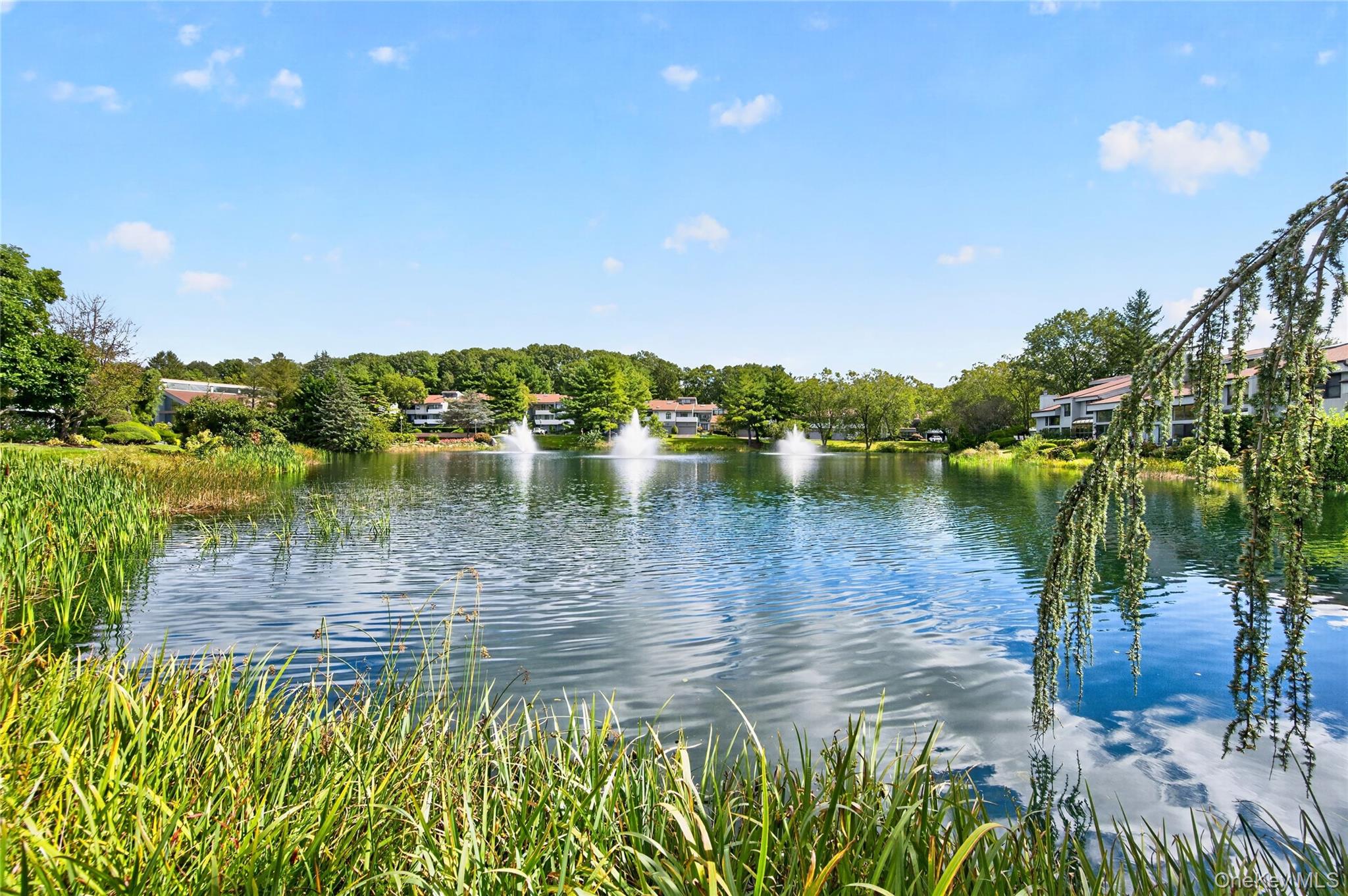 93 Eagle Chase – For Sale photo 26