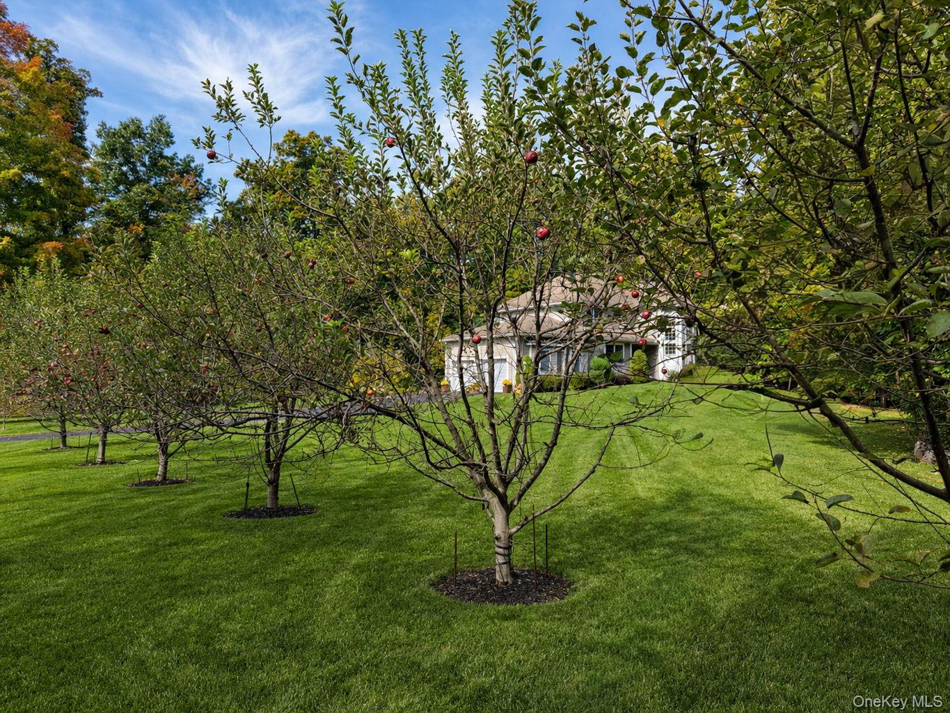 2 Wellington Court – For Sale photo 38