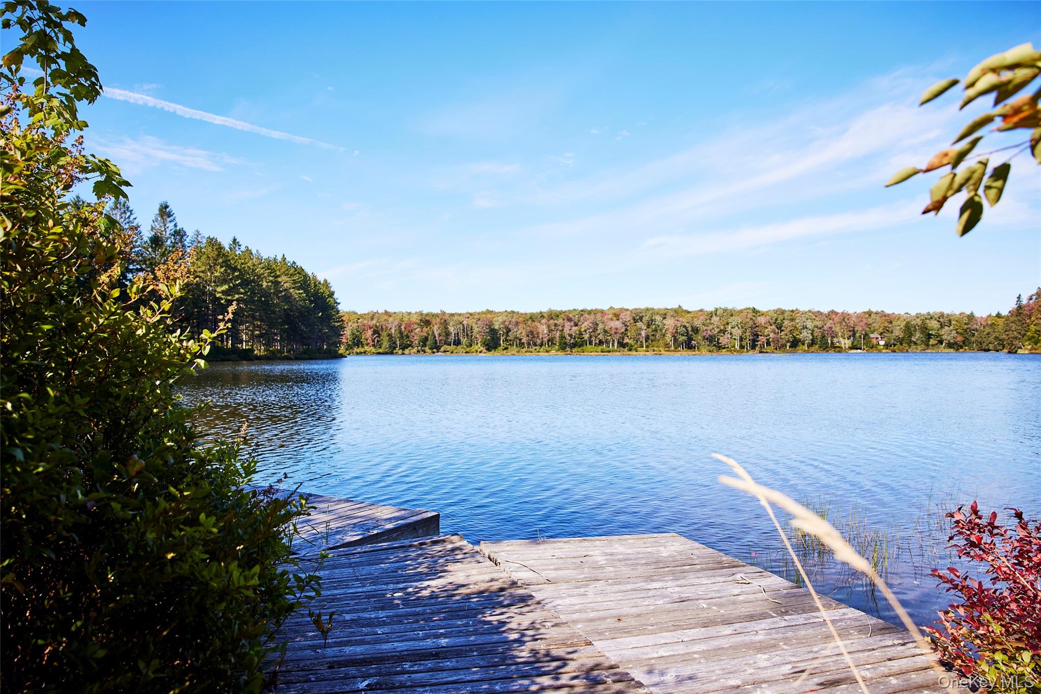 452 White Roe Lake Road – For Sale photo 4