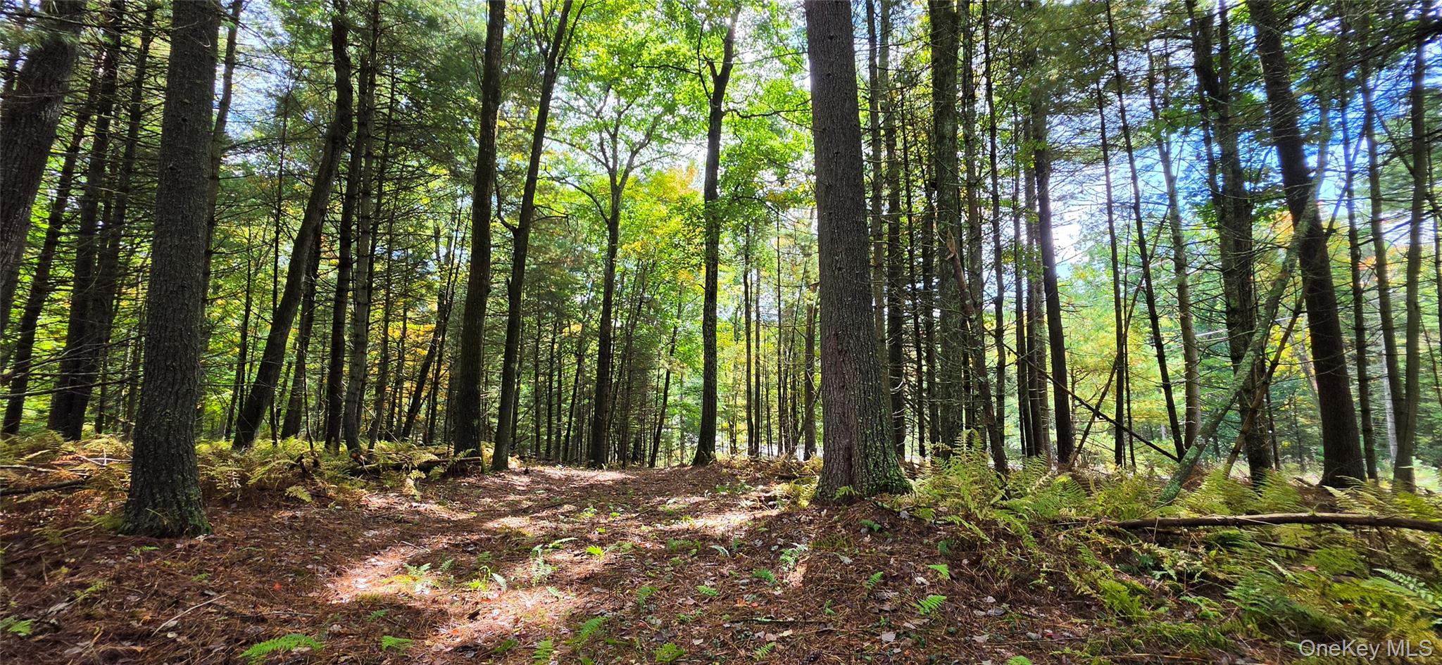 Lot 6.17 State Rt 97 – For Sale photo 9