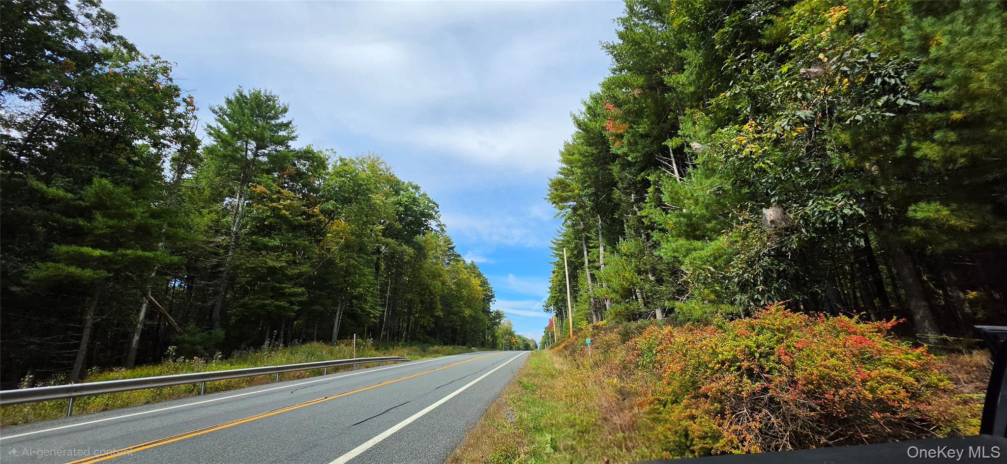Lot 6.17 State Rt 97 – For Sale photo 15