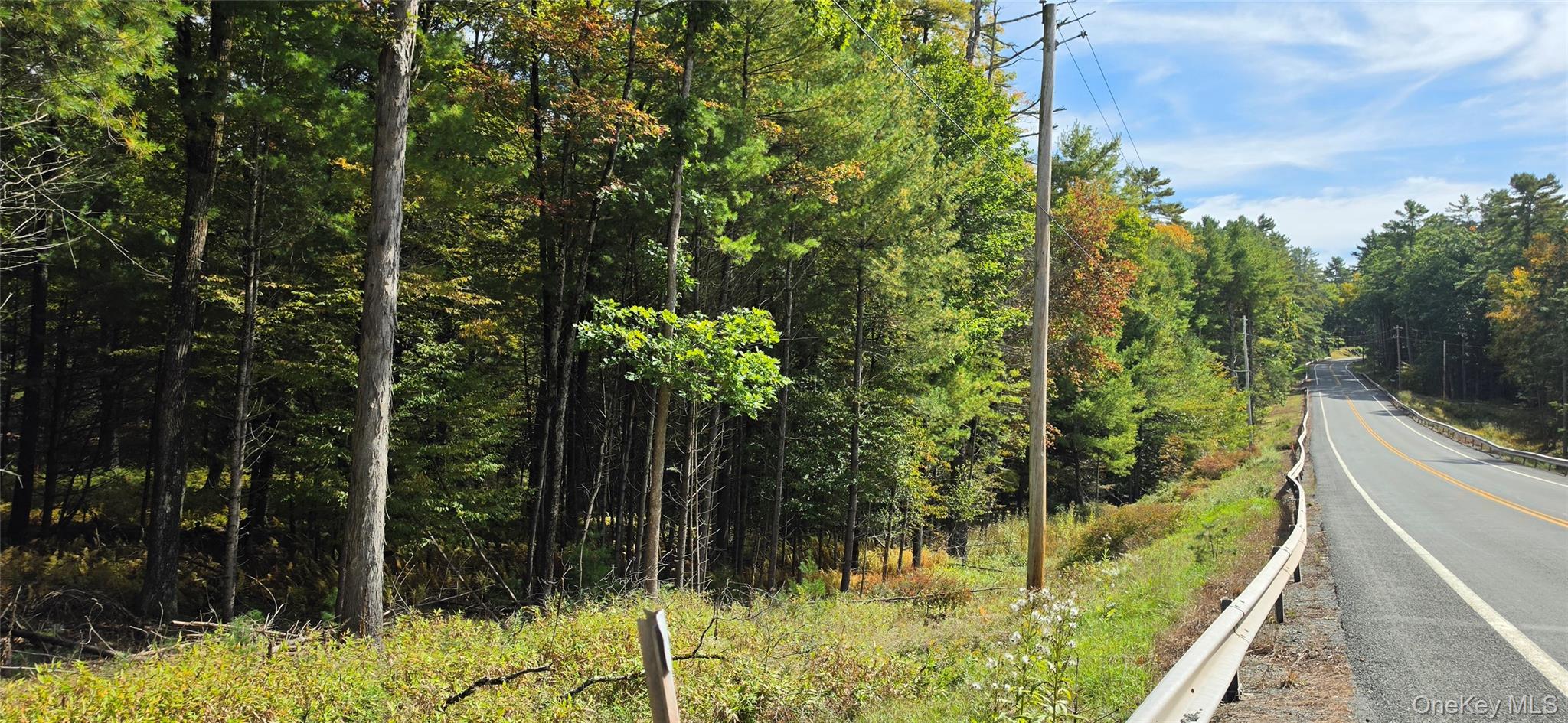Lot 6.17 State Rt 97 – For Sale photo 5