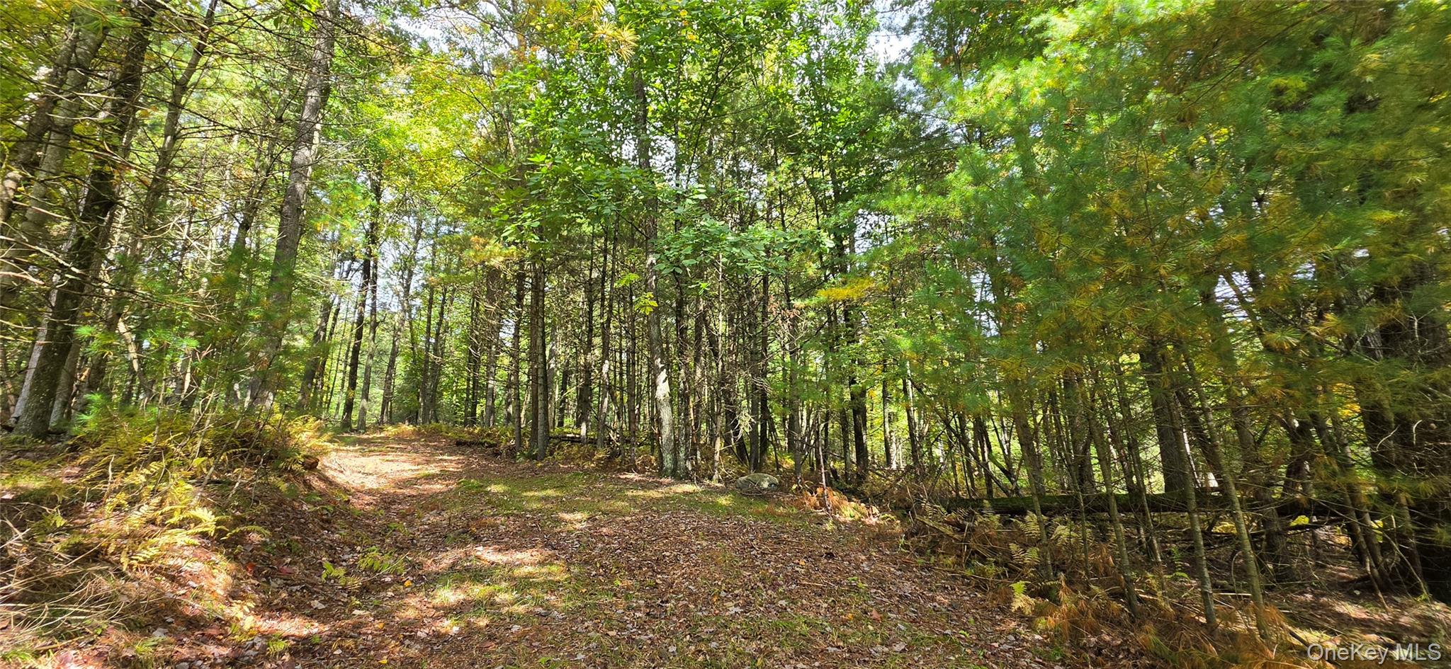 Lot 6.17 State Rt 97 – For Sale
