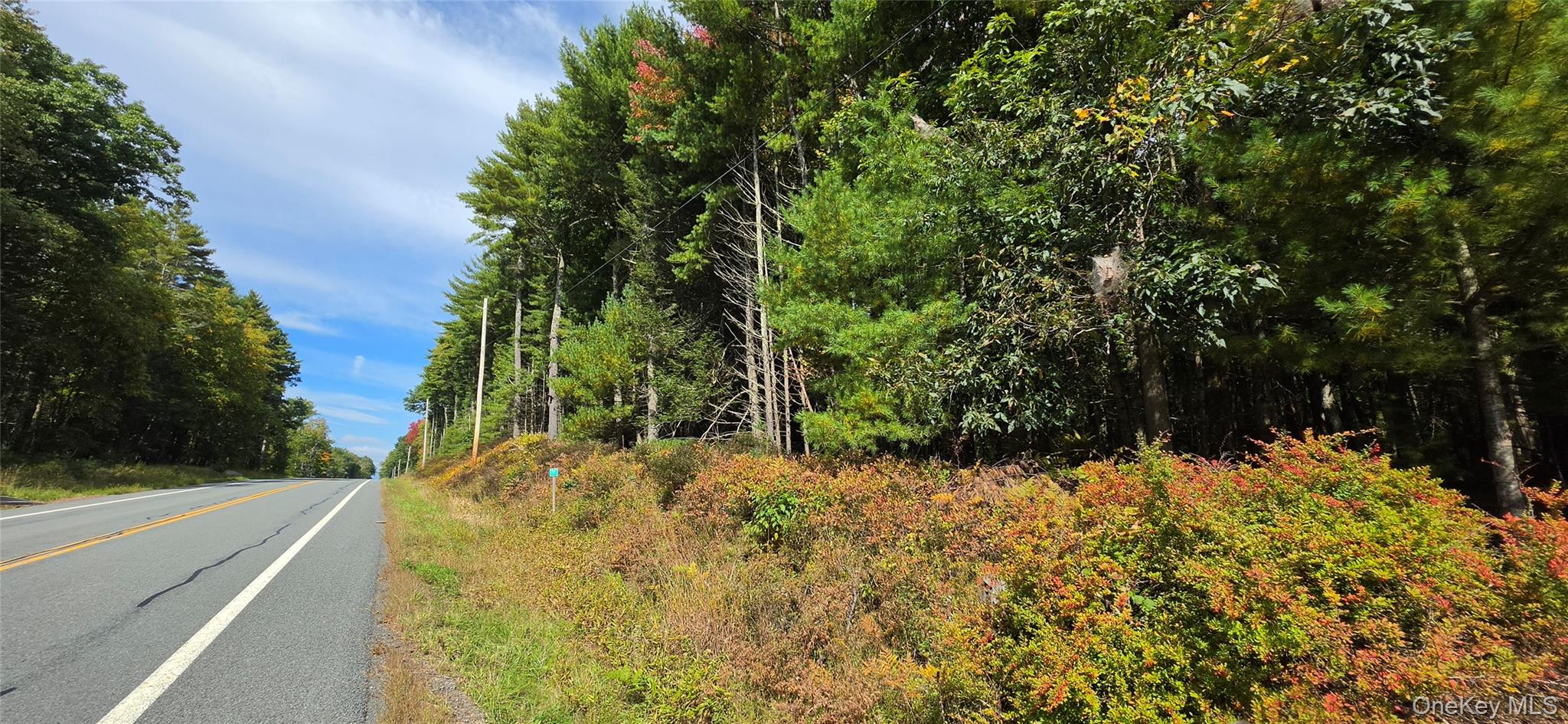 Lot 6.17 State Rt 97 – For Sale photo 6