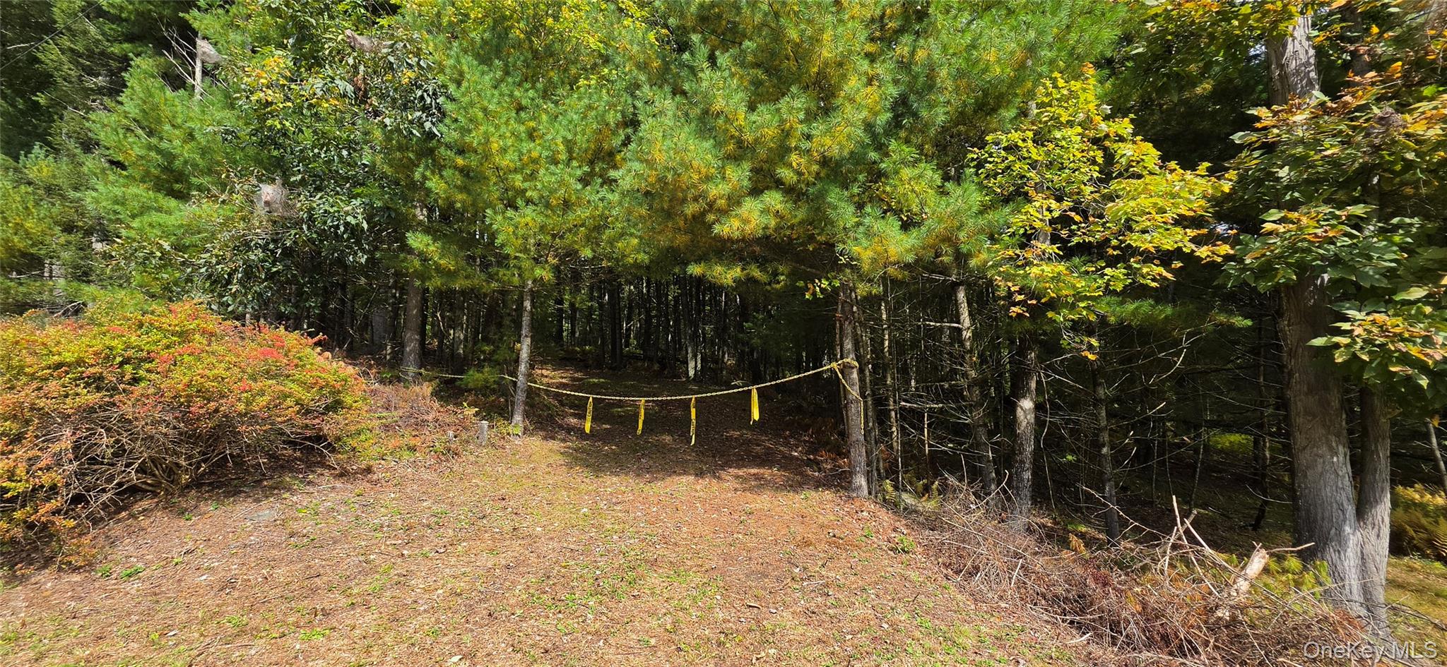 Lot 6.17 State Rt 97 – For Sale photo 17
