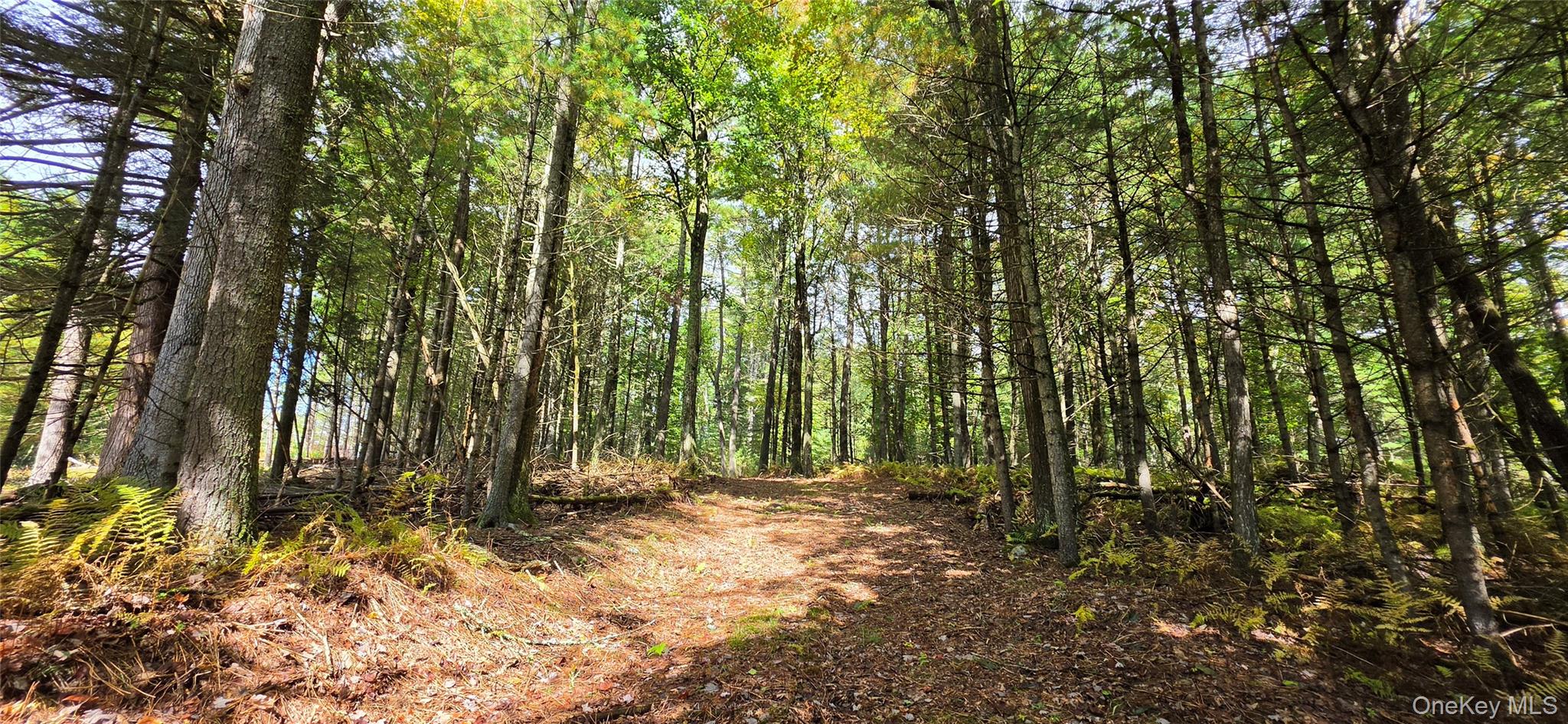 Lot 6.17 State Rt 97 – For Sale photo 2