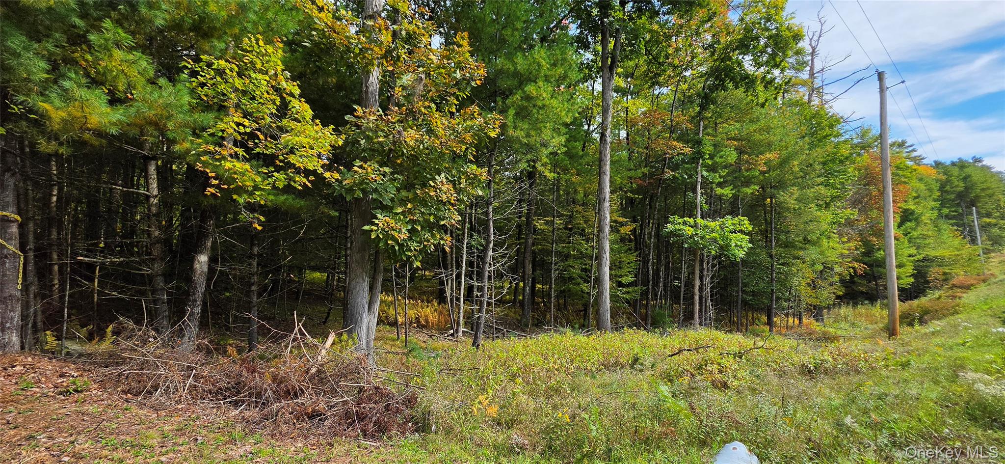 Lot 6.17 State Rt 97 – For Sale photo 16
