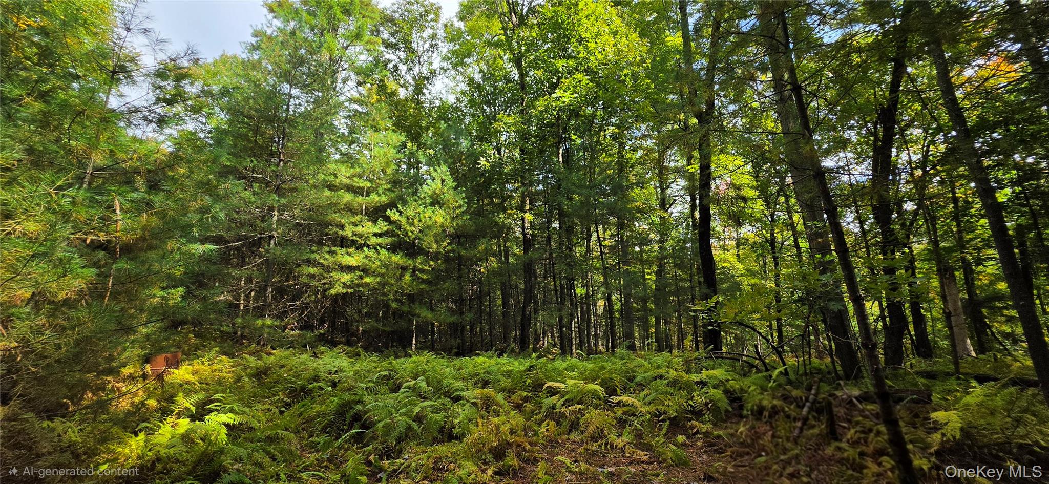 Lot 6.17 State Rt 97 – For Sale photo 12