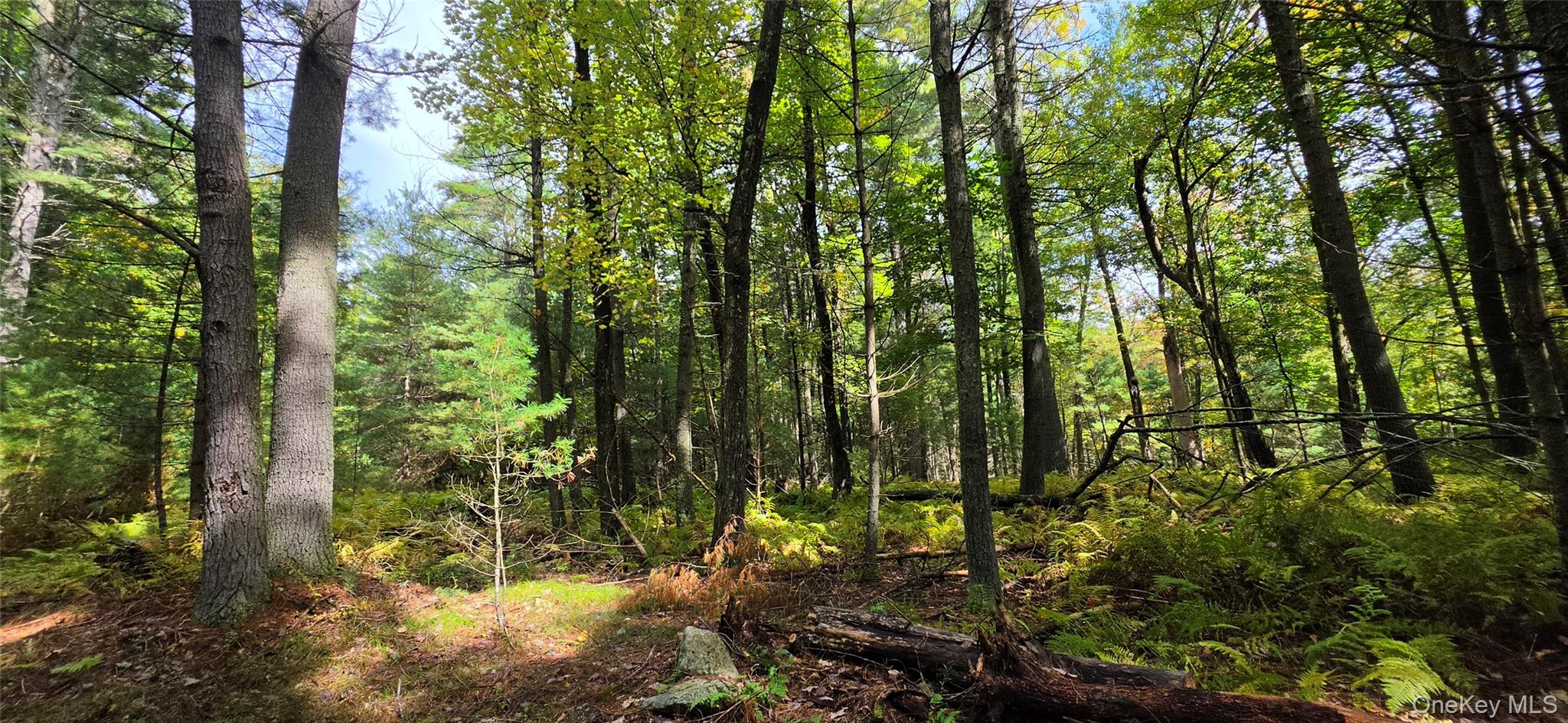 Lot 6.17 State Rt 97 – For Sale photo 10