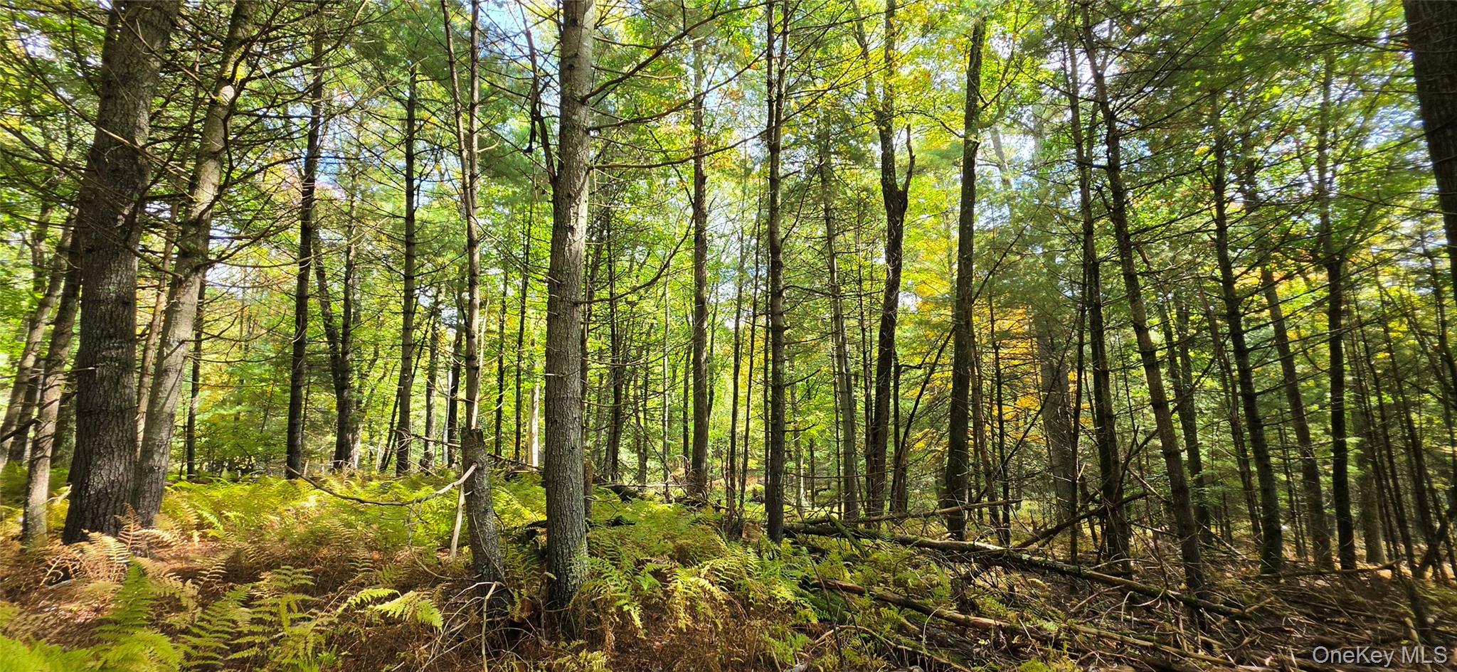 Lot 6.17 State Rt 97 – For Sale photo 8