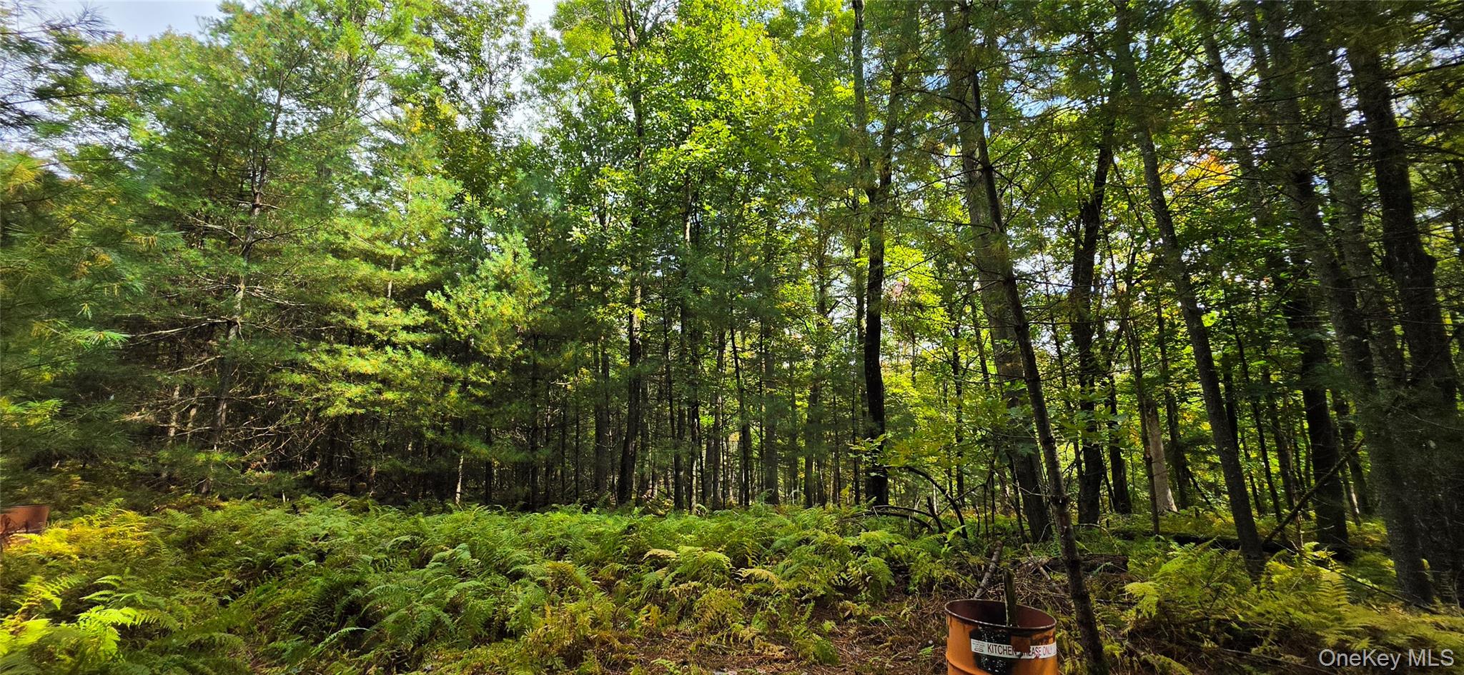 Lot 6.17 State Rt 97 – For Sale photo 13