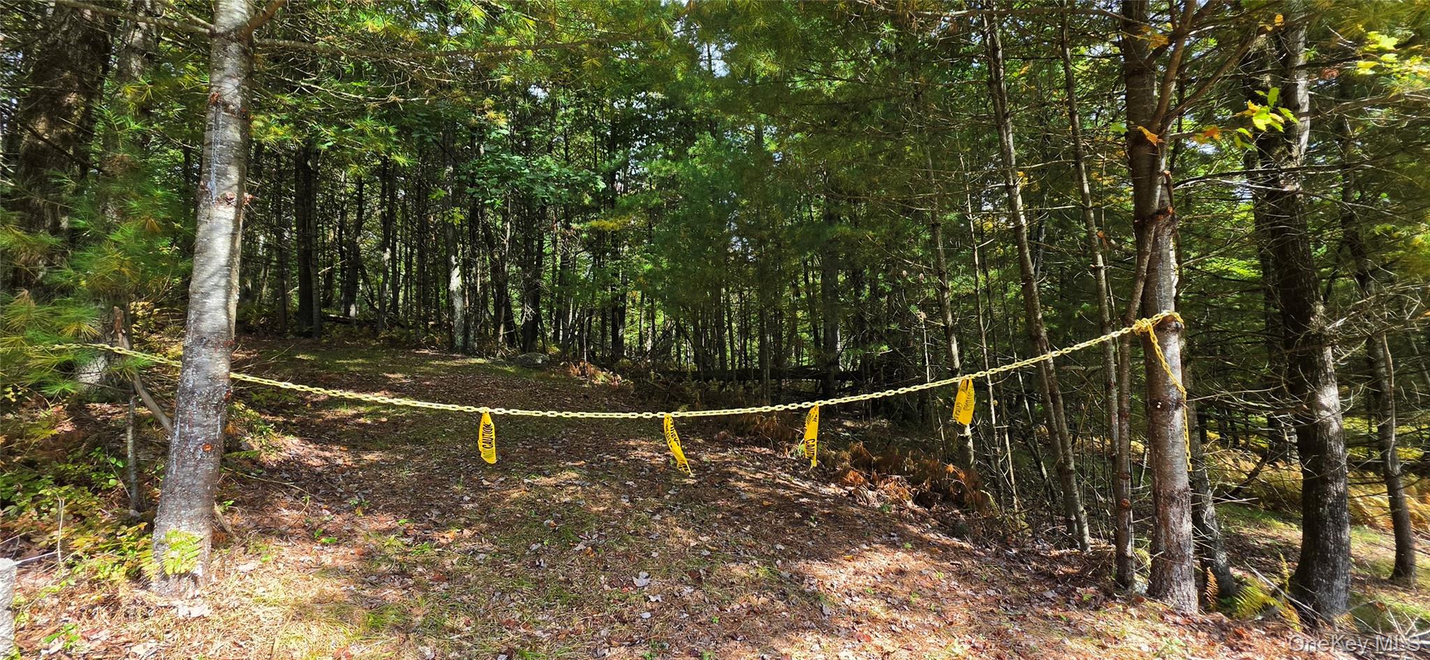 Lot 6.17 State Rt 97 – For Sale photo 4