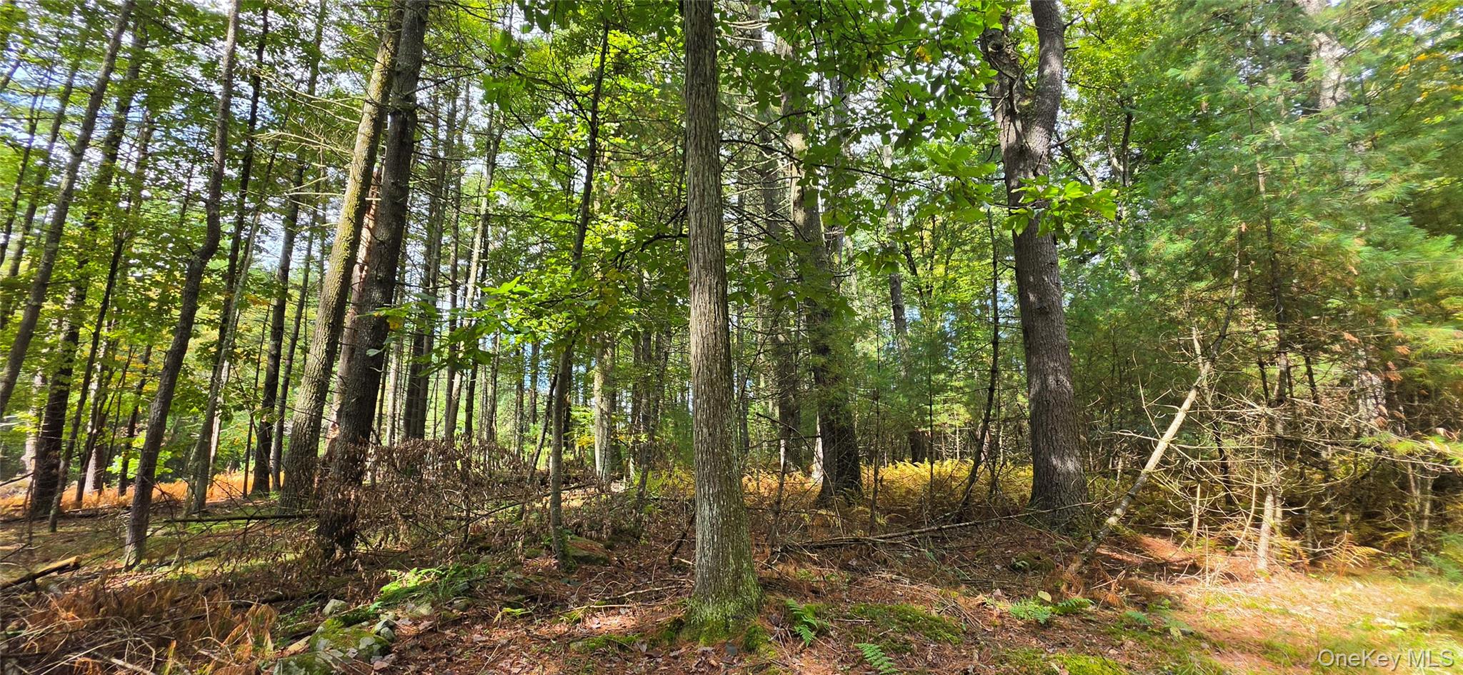 Lot 6.17 State Rt 97 – For Sale photo 11