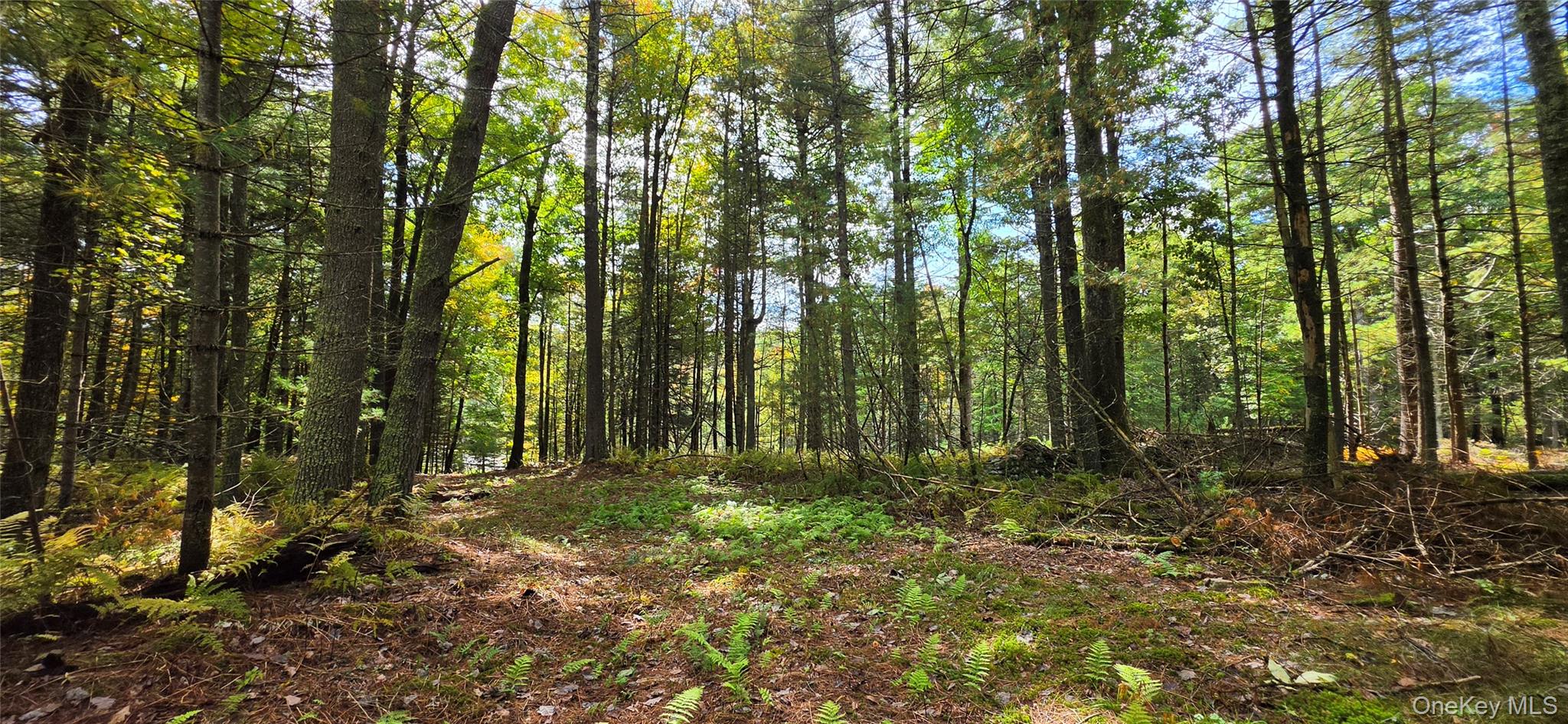 Lot 6.17 State Rt 97 – For Sale photo 14