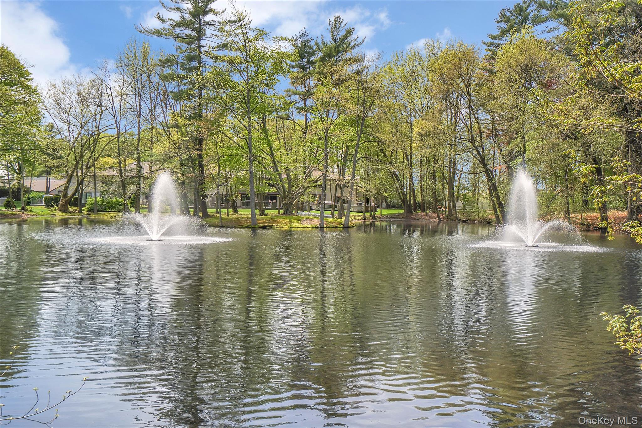 10 Pond View Court – For Sale photo 38