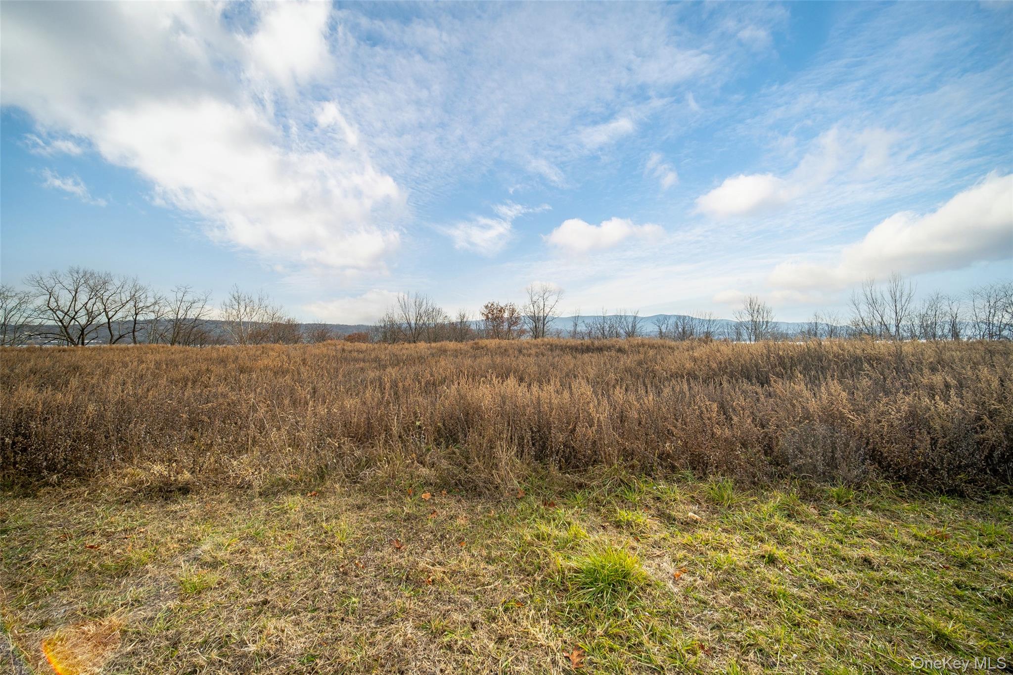 Oak St & River Rd Road – For Sale photo 10