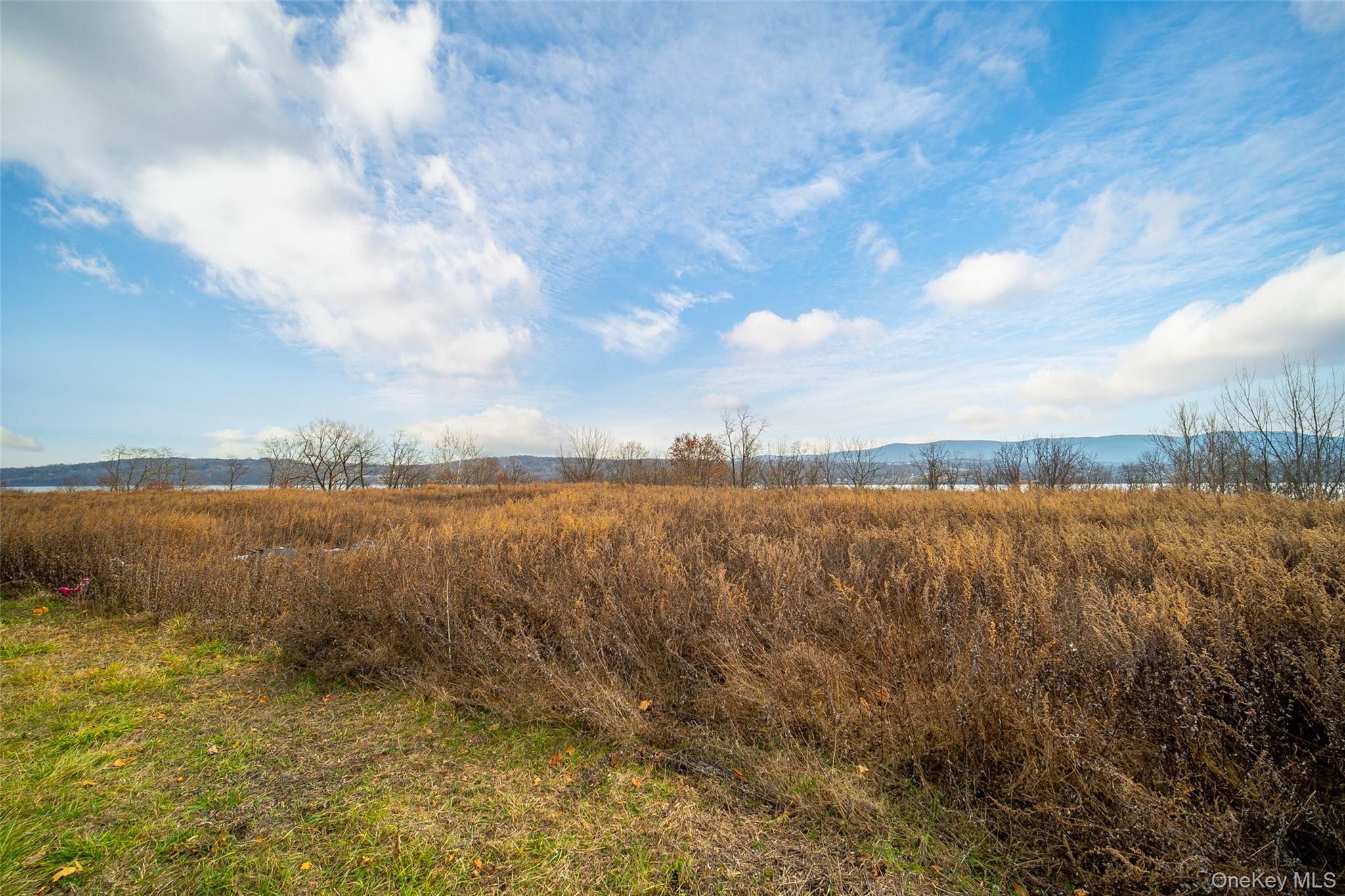 Oak St & River Rd Road – For Sale photo 4