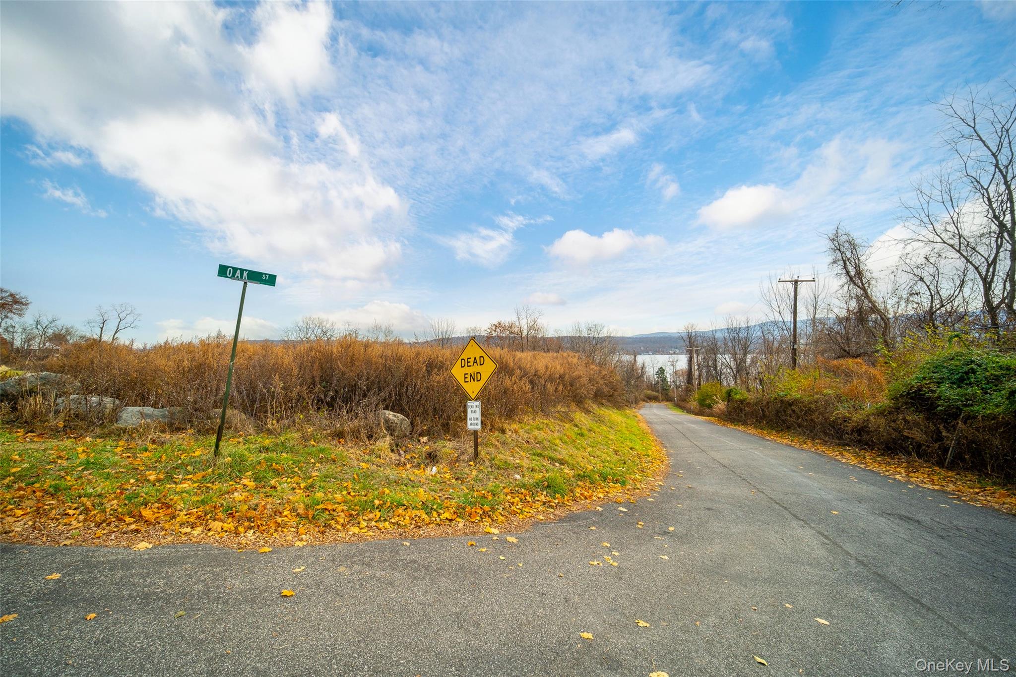 Oak St & River Rd Road – For Sale photo 12