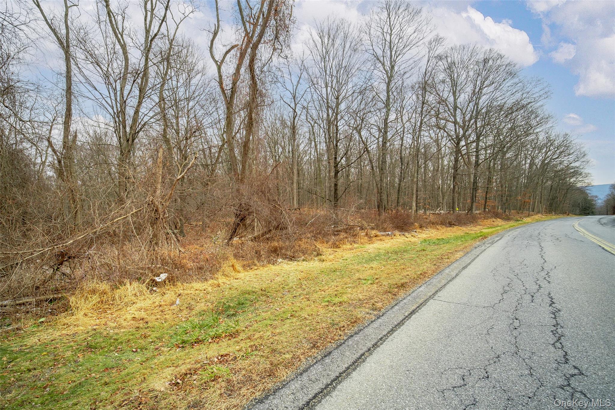 Baker Road – Lot 2 – For Sale photo 3