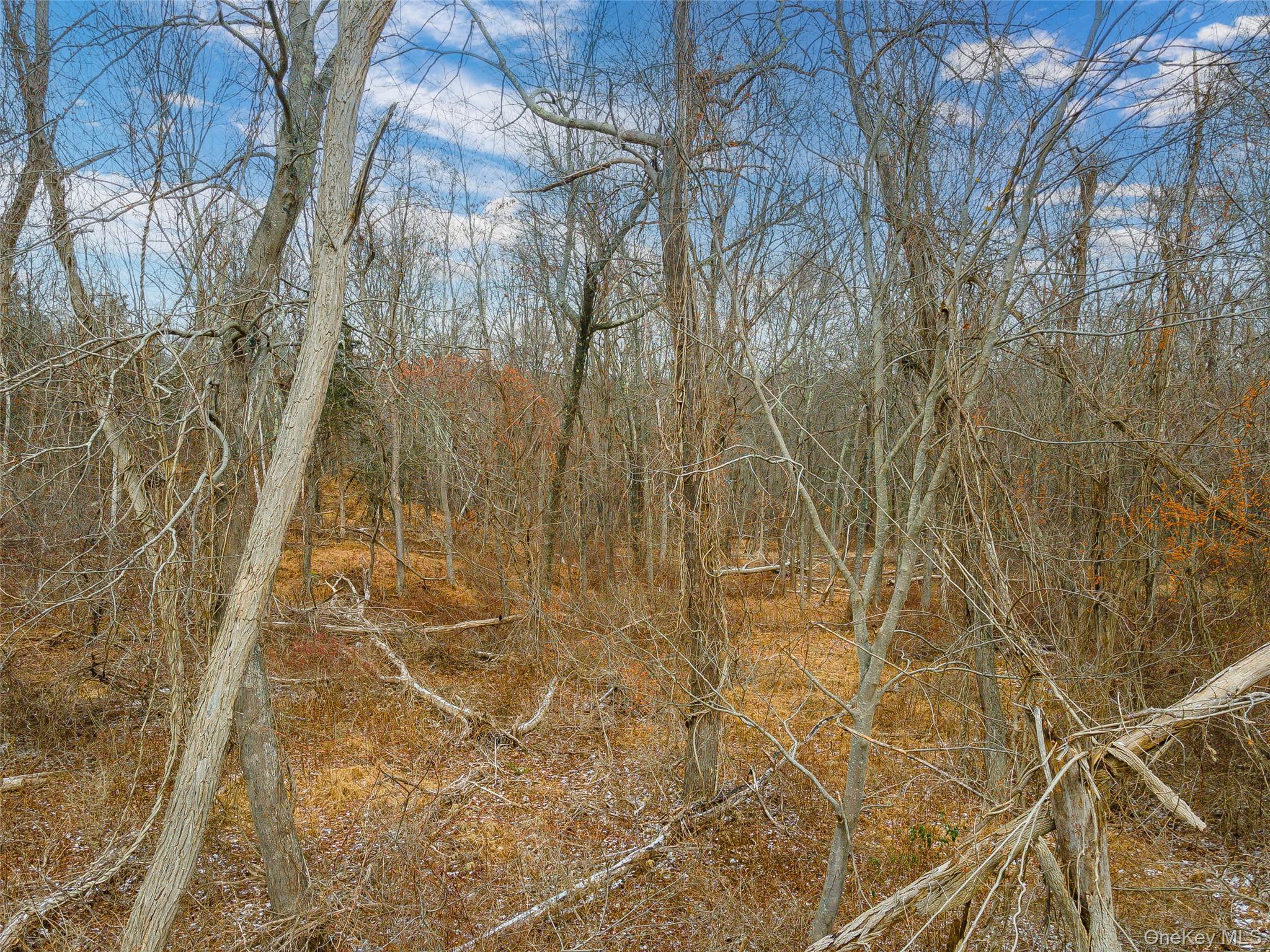 Baker Road – Lot 2 – For Sale photo 8