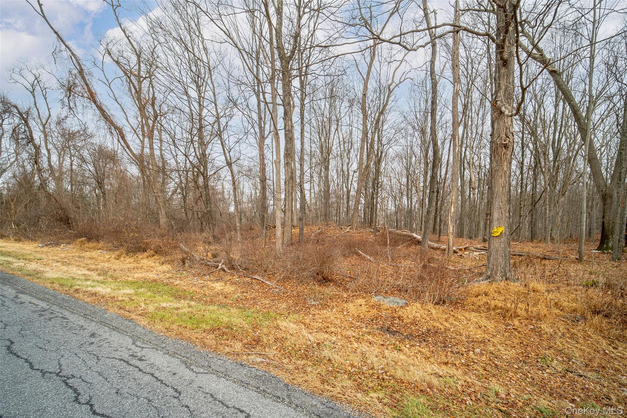 Baker Road – Lot 2 – For Sale photo 5