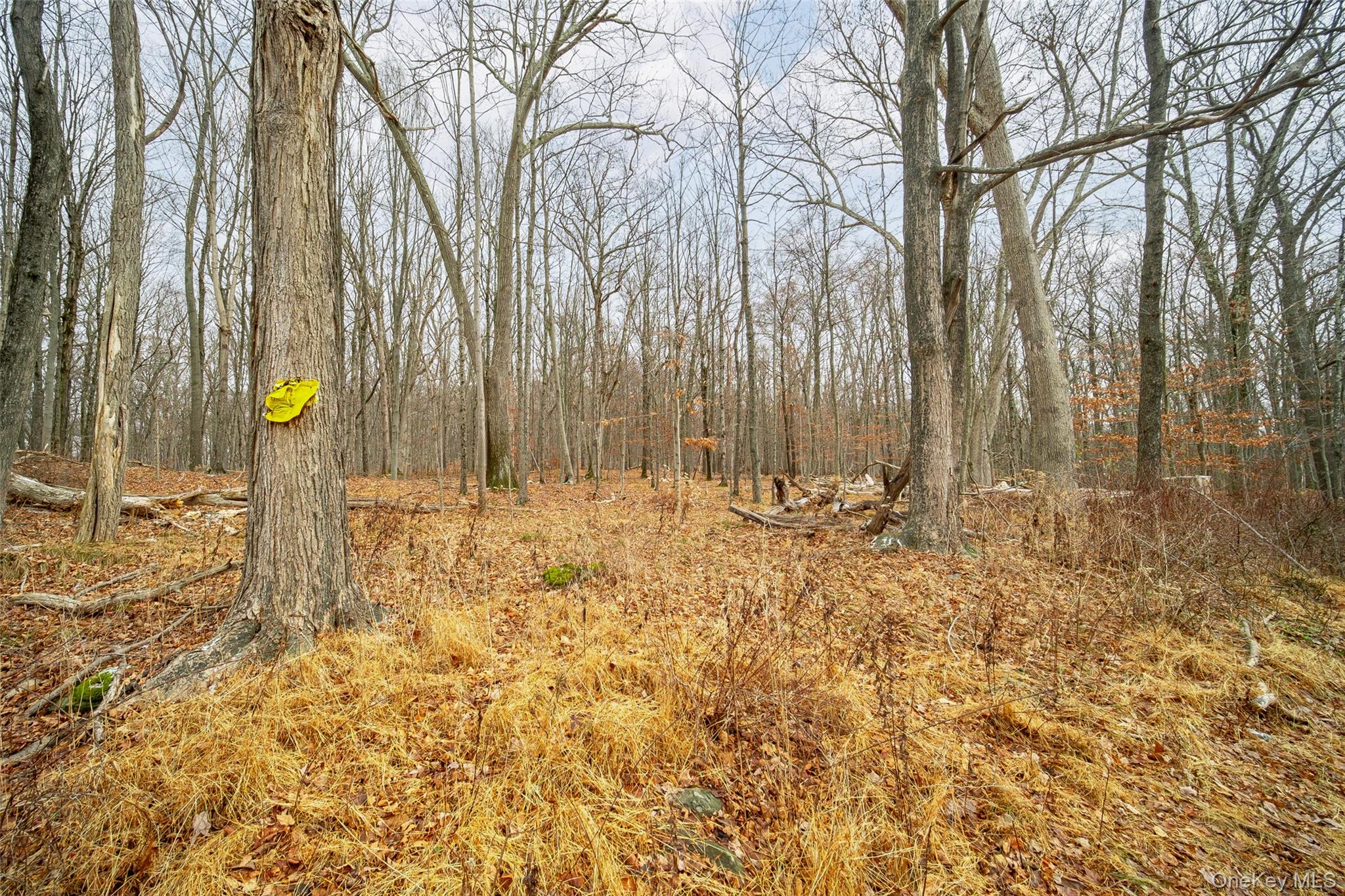 Baker Road – Lot 2 – For Sale photo 4