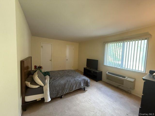 21 Village Park Drive, Unit 1B photo 11