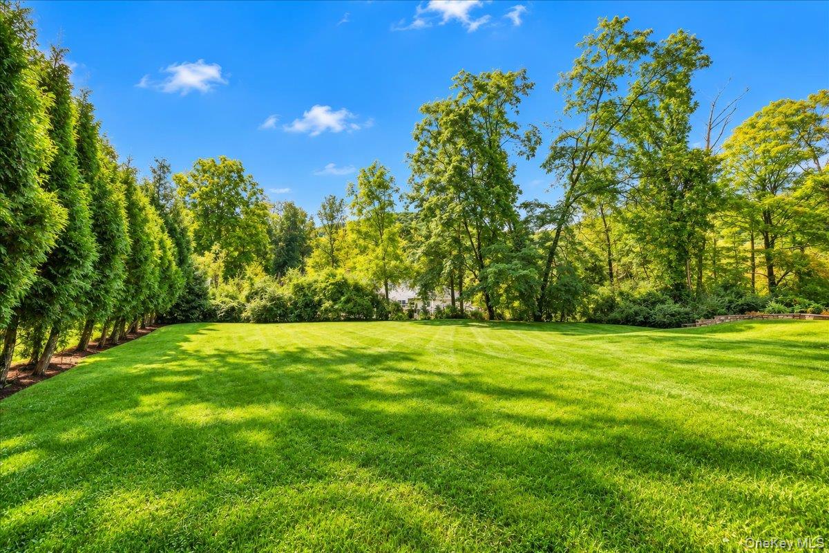 3 Miller Road – For Sale photo 41